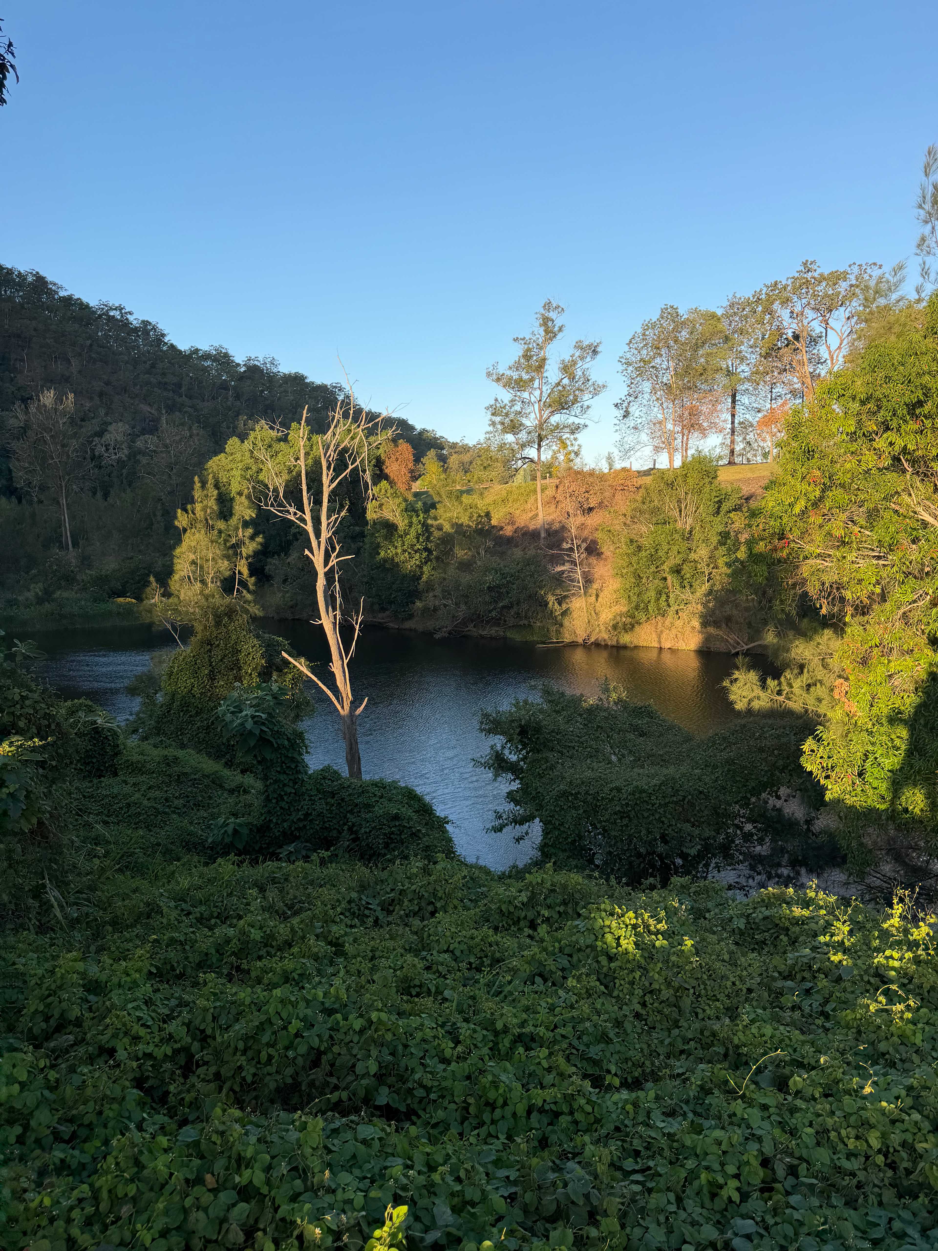 View from site 1-2