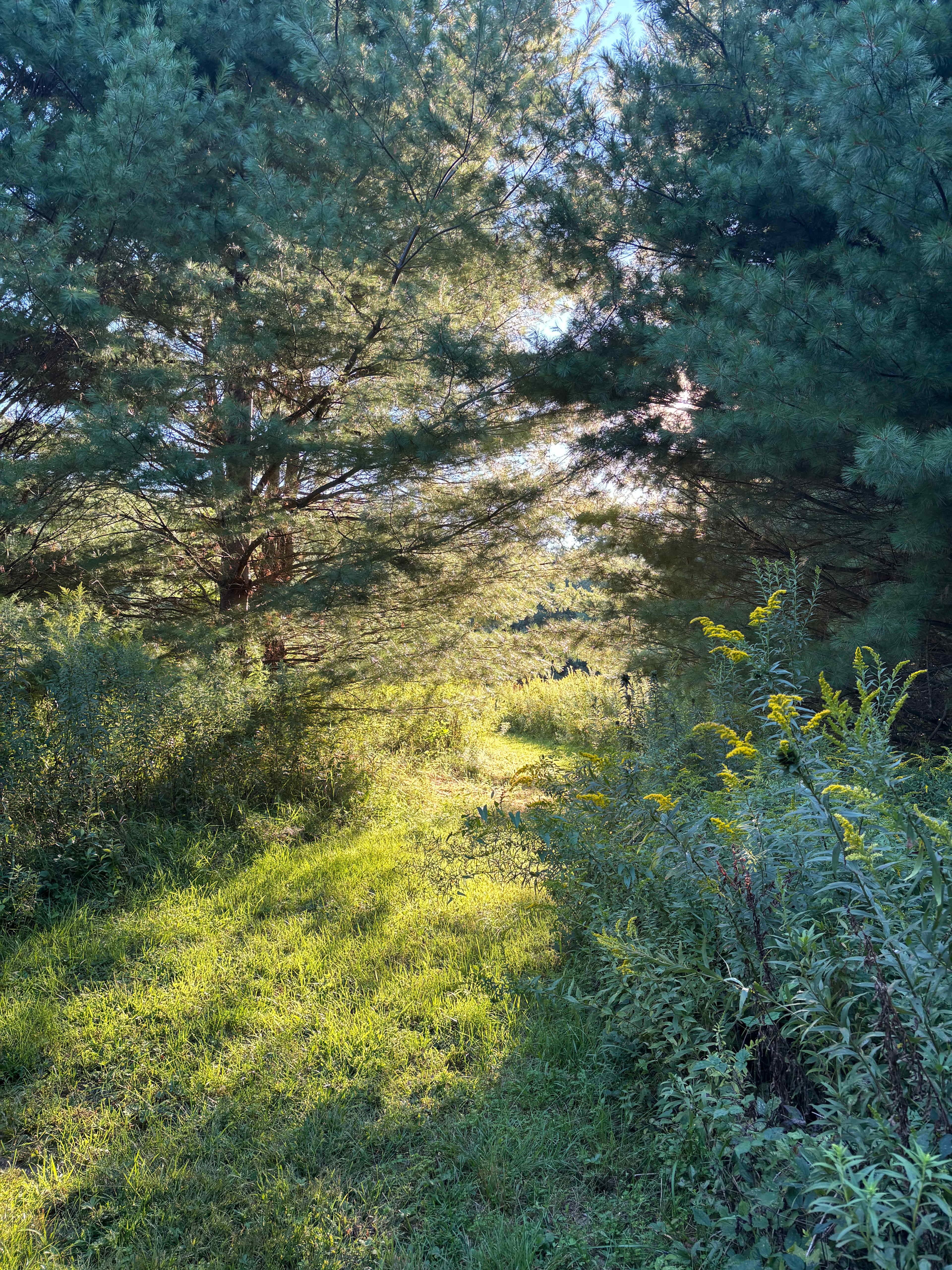 Upper Shire Campsites Hudson Valley