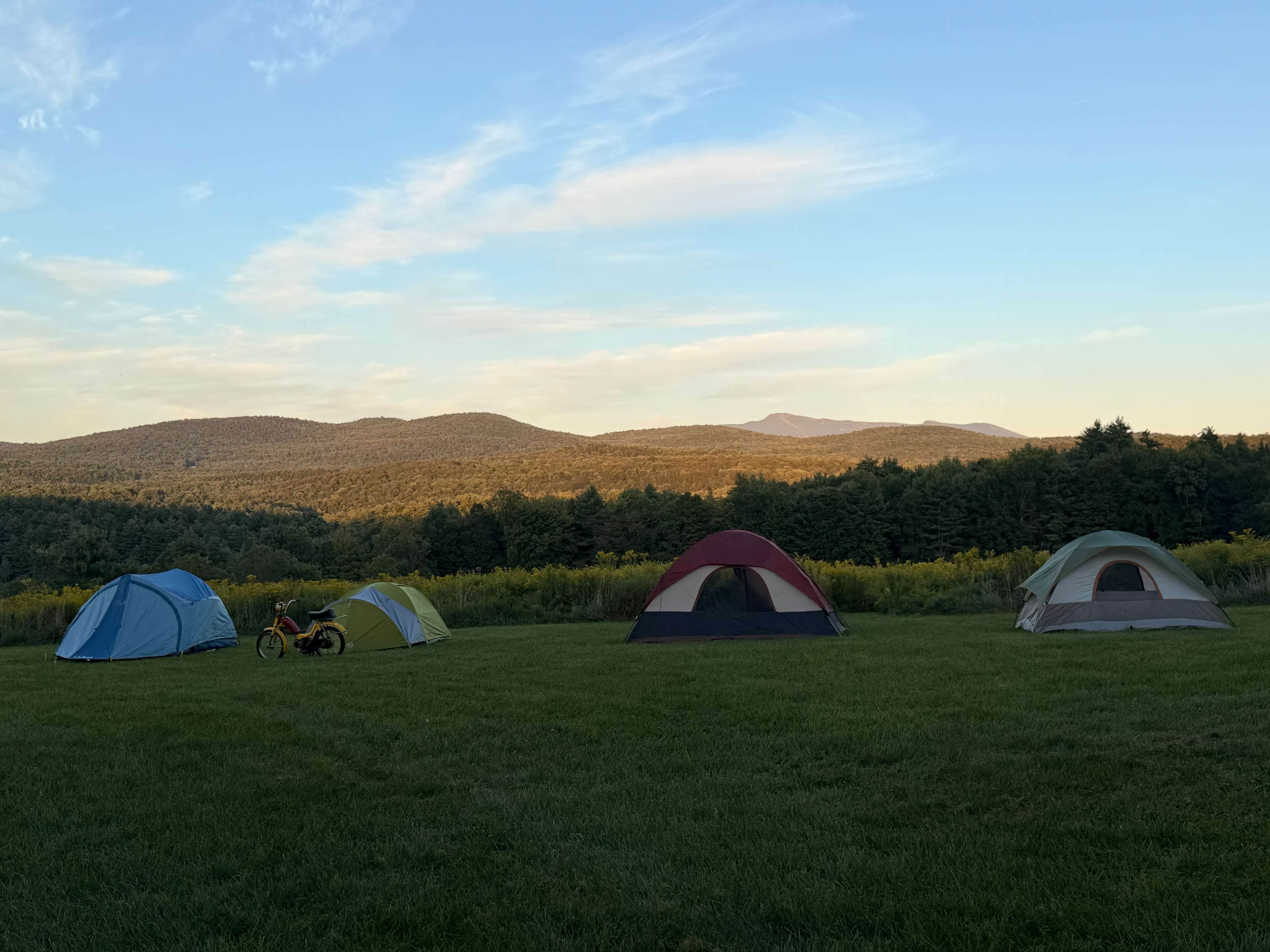 Harold's View Farm