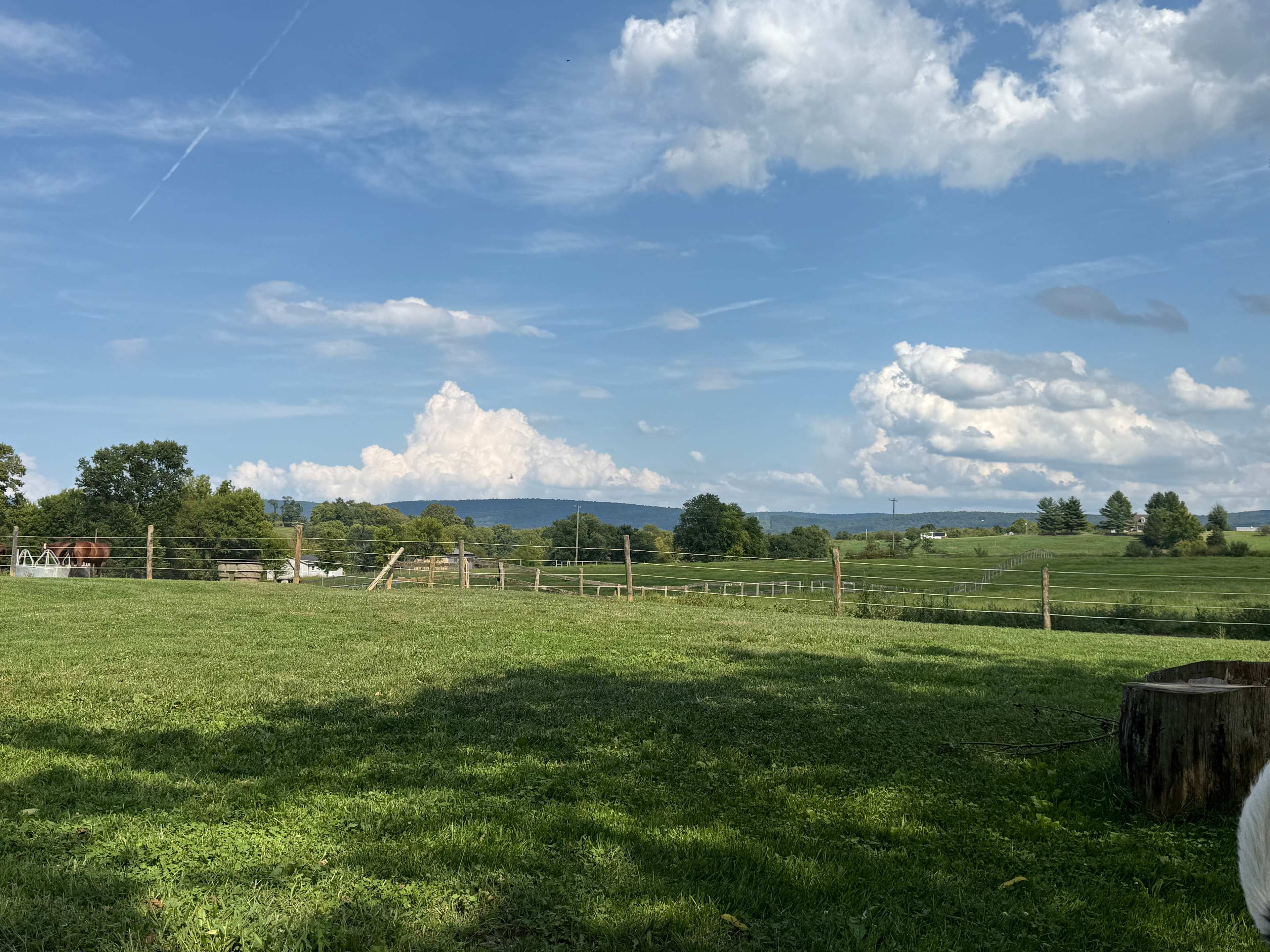 Spring Haven Farm RV site