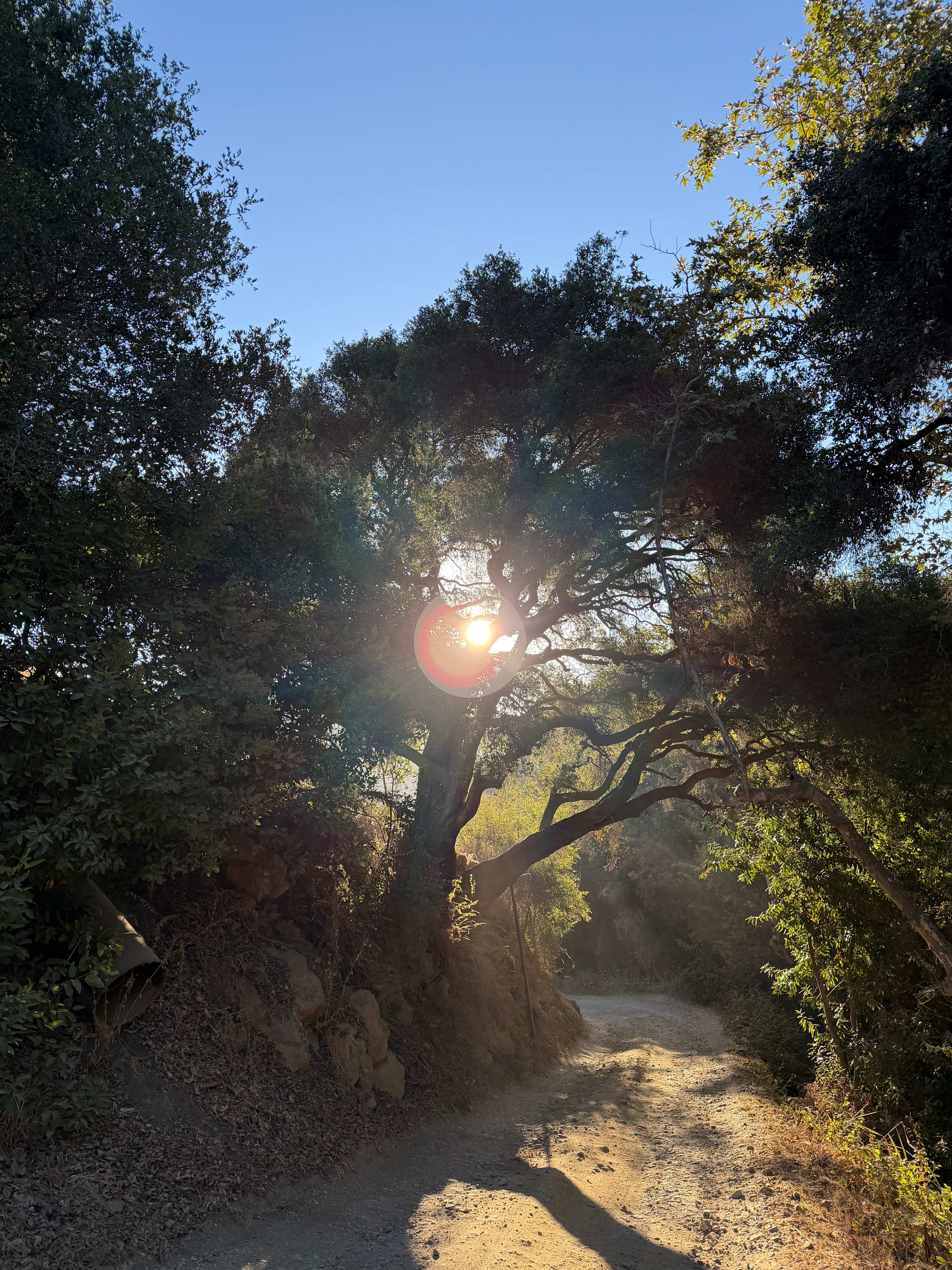 Loved hiking around the property