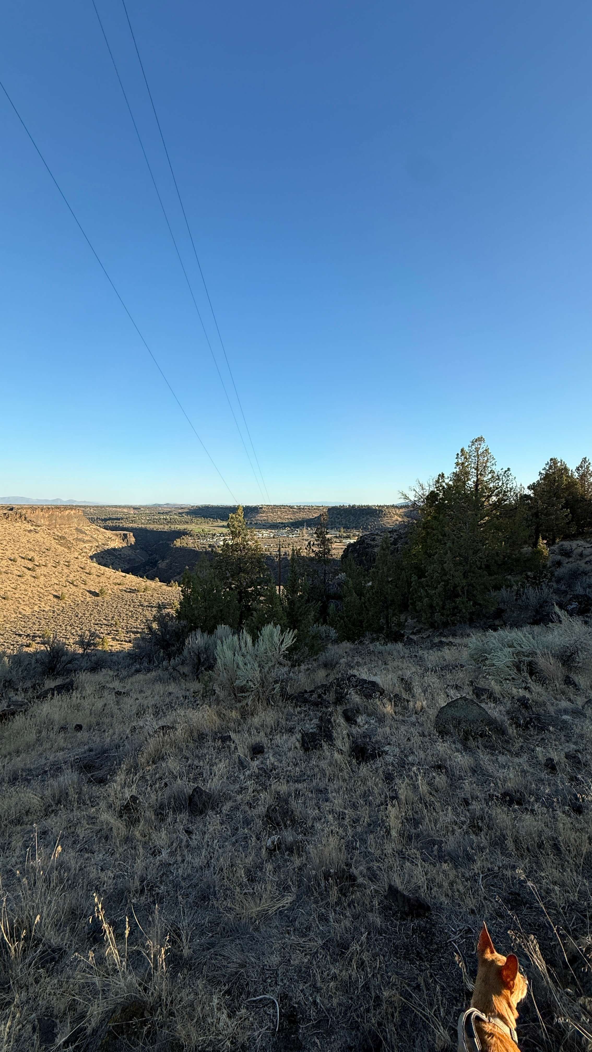 Horse Ranch on the Rim
