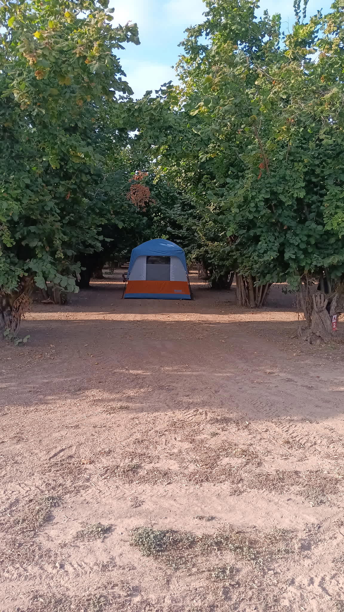 Tranquil Orchard and Wine Tours