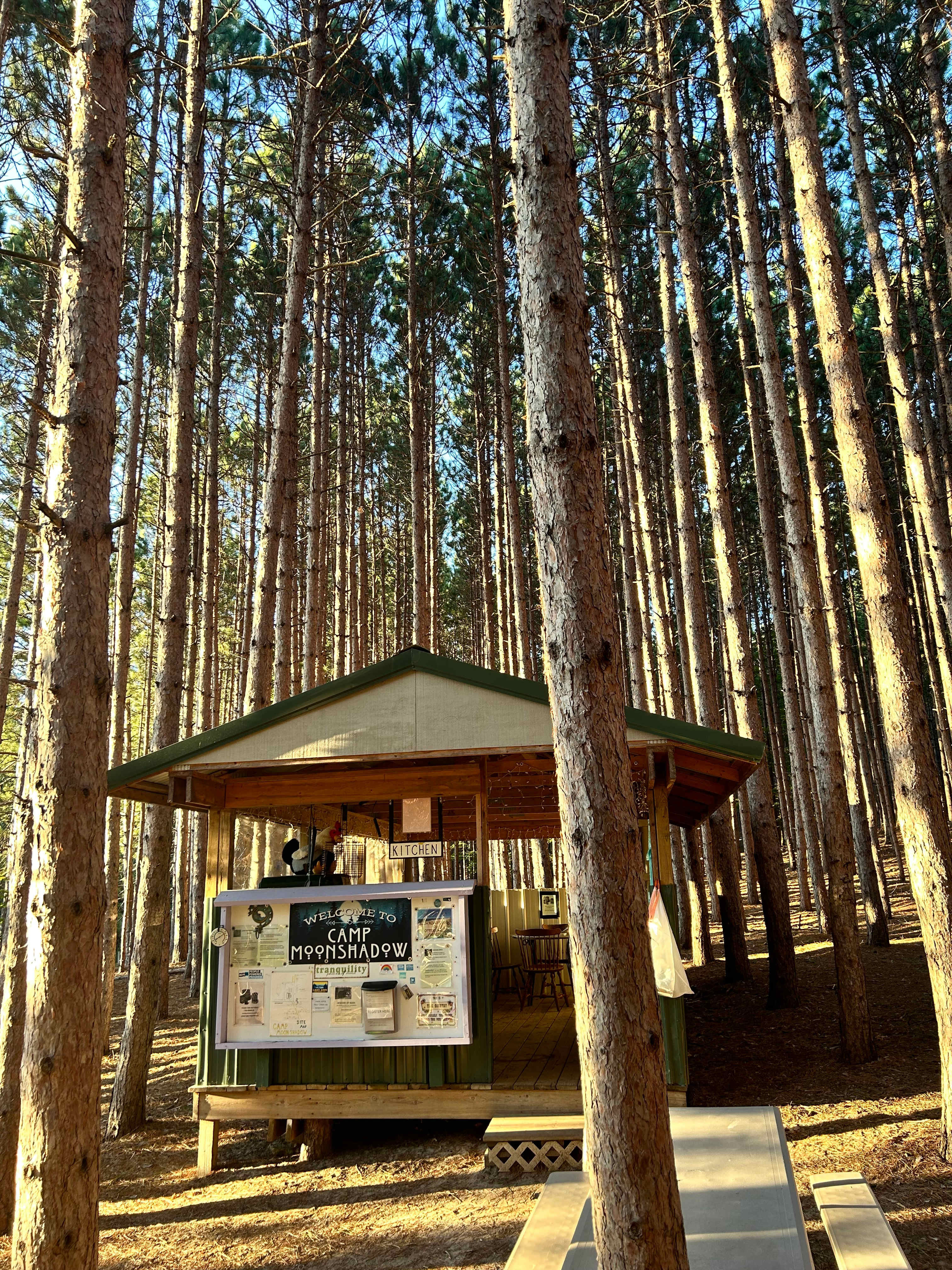 Camp Moonshadow