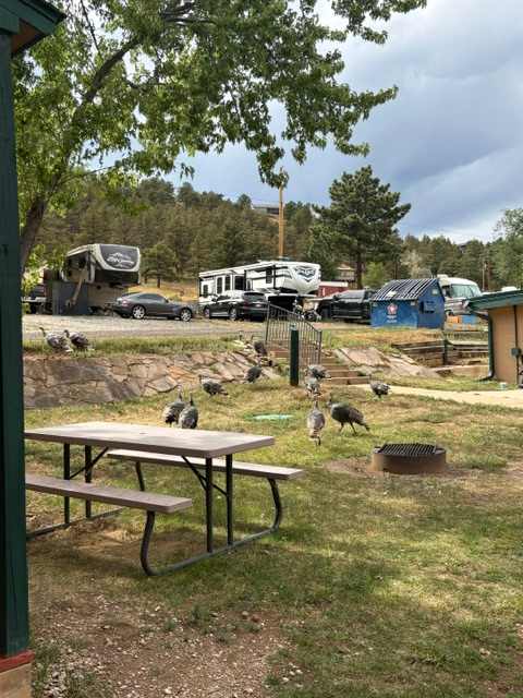 North Shore RV Park & General Store