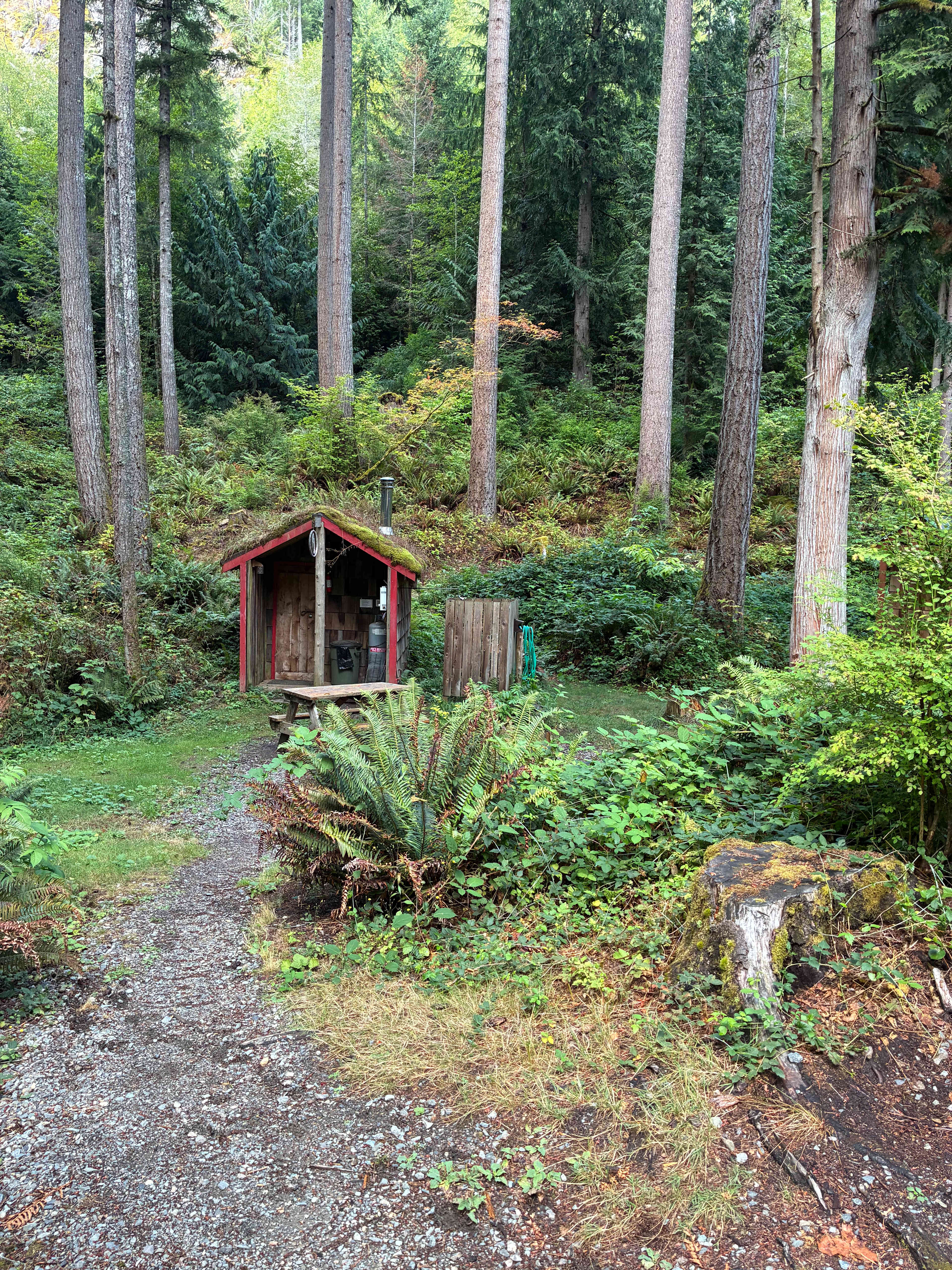 Valhalla Tree Farm