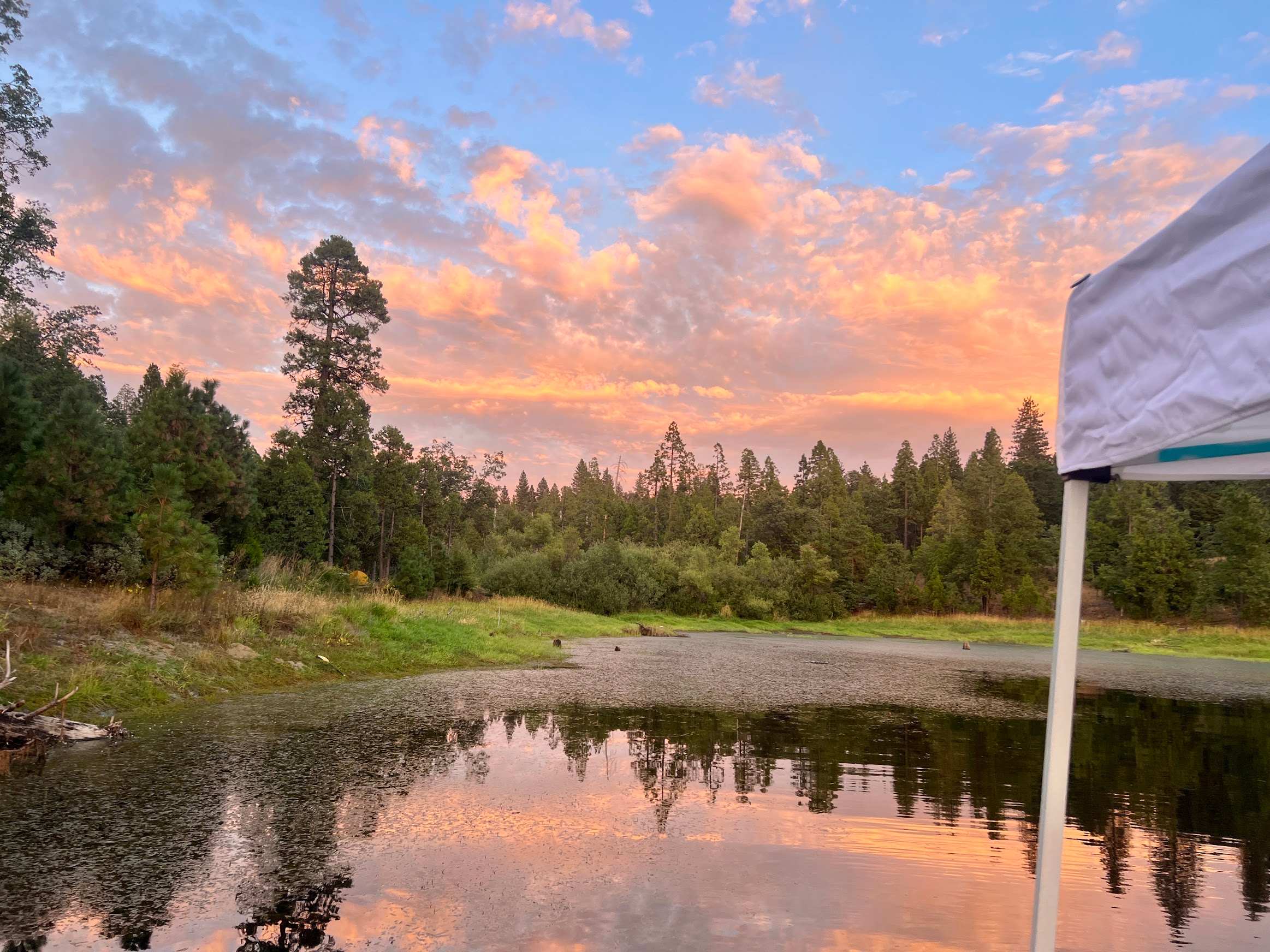 Denham Forest 100 Acre&Private Lake