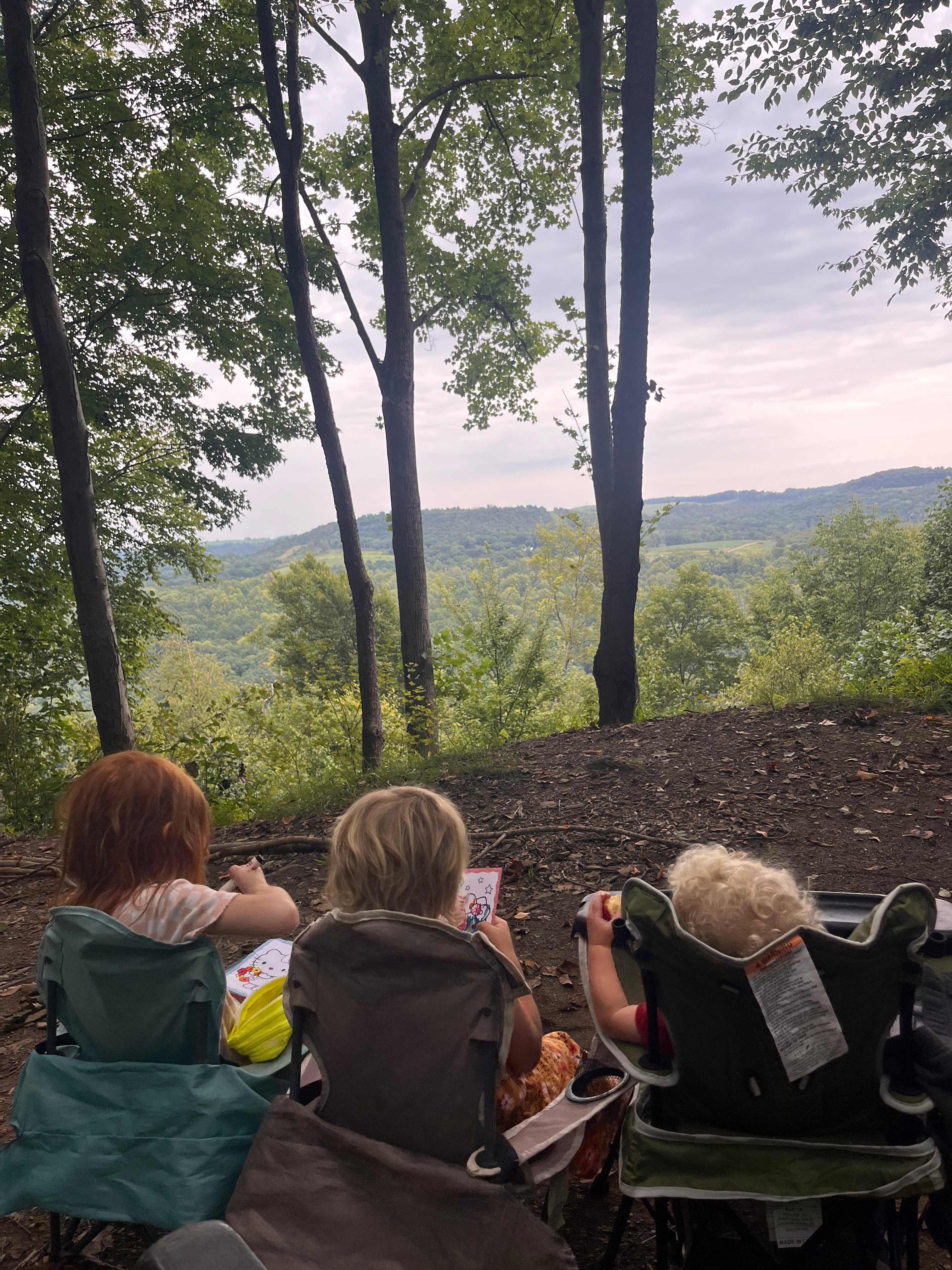 River Hills Above the Allegheny