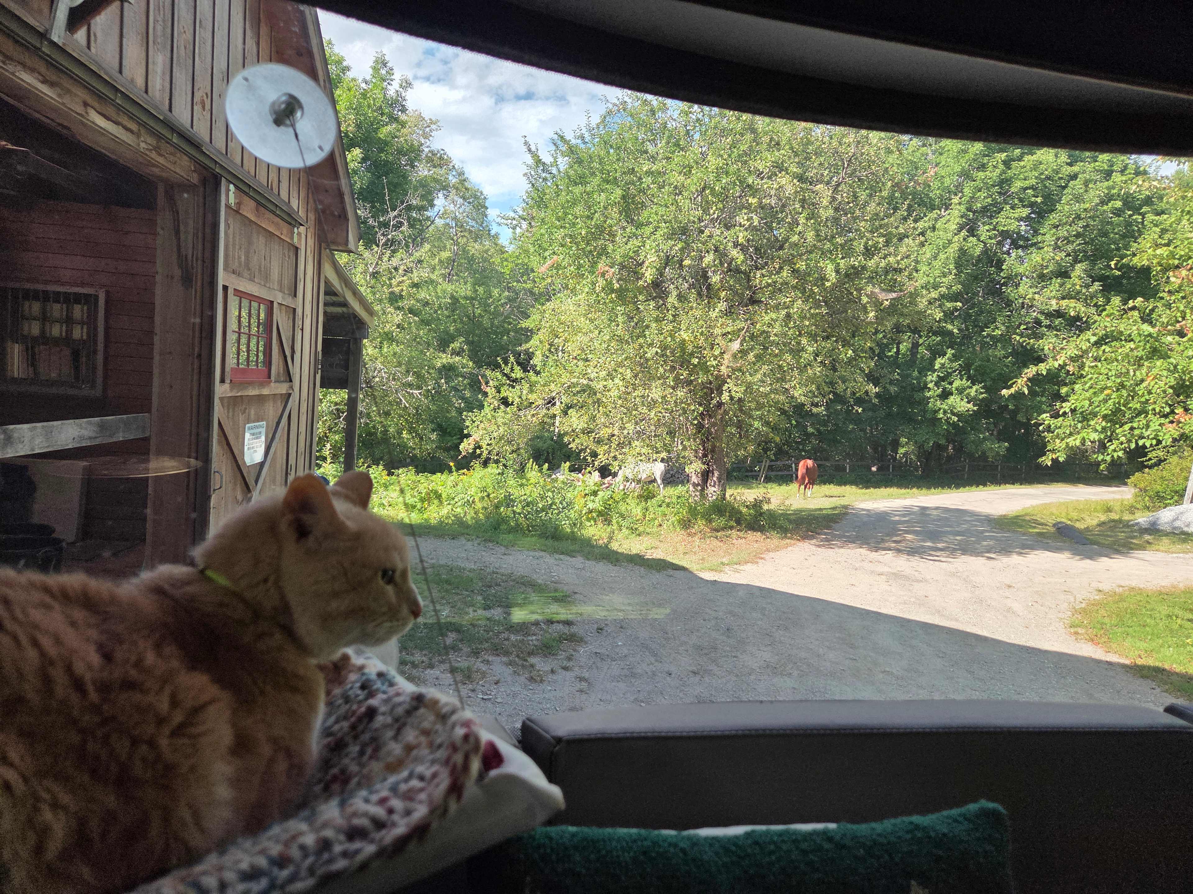 Our Campin' Cat enjoyed it here, too!