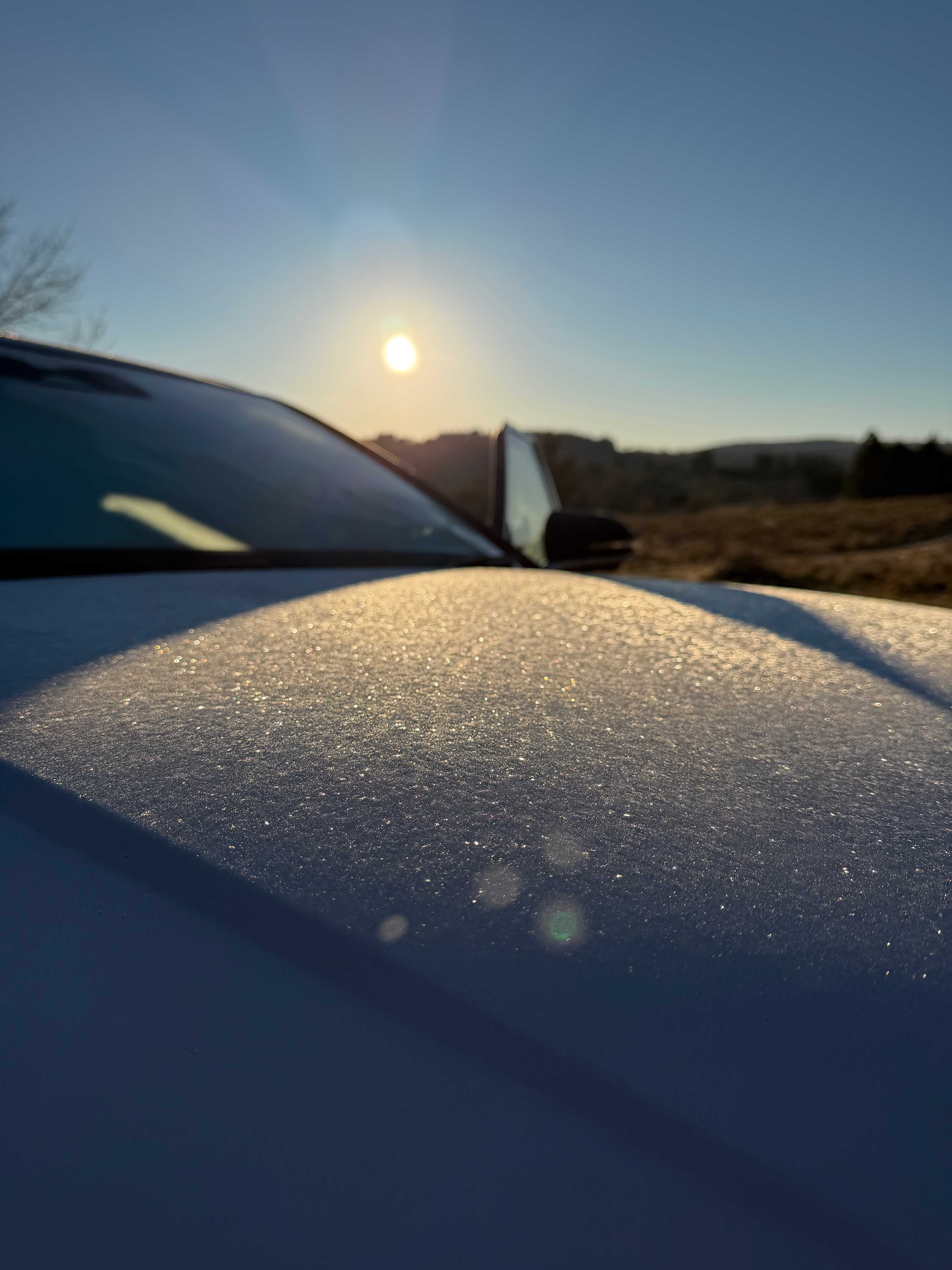 Frosty morning