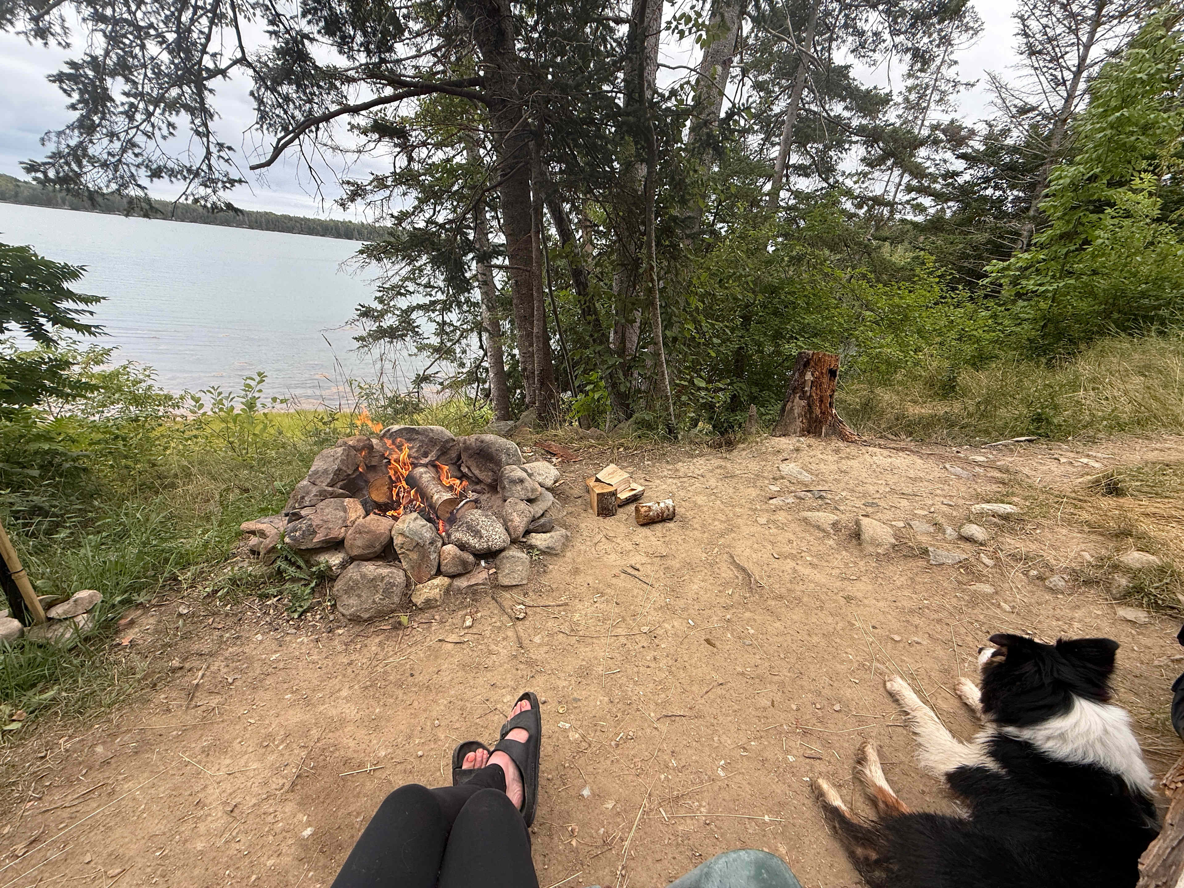 Elmer's Cove
