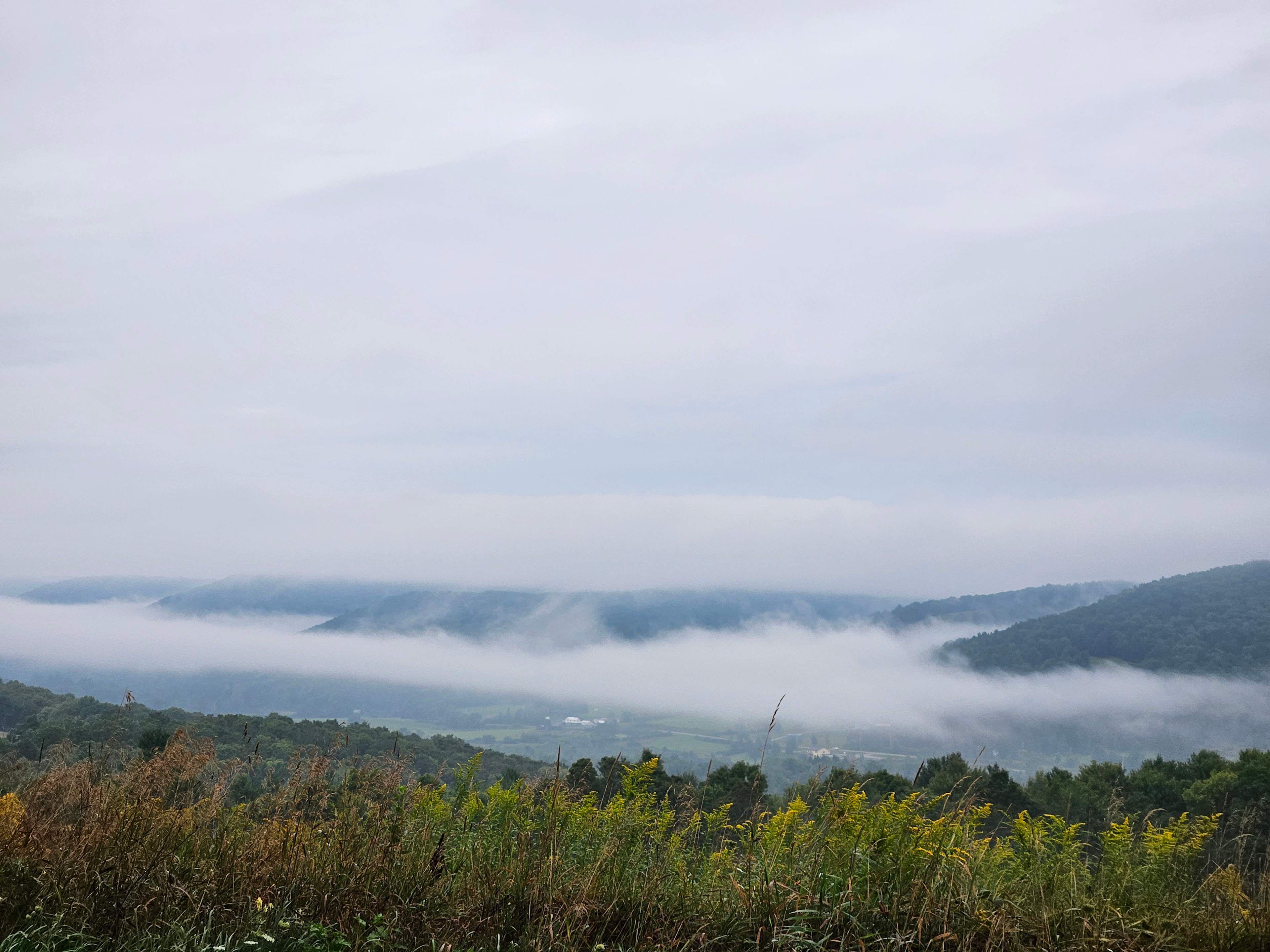 A foggy morning