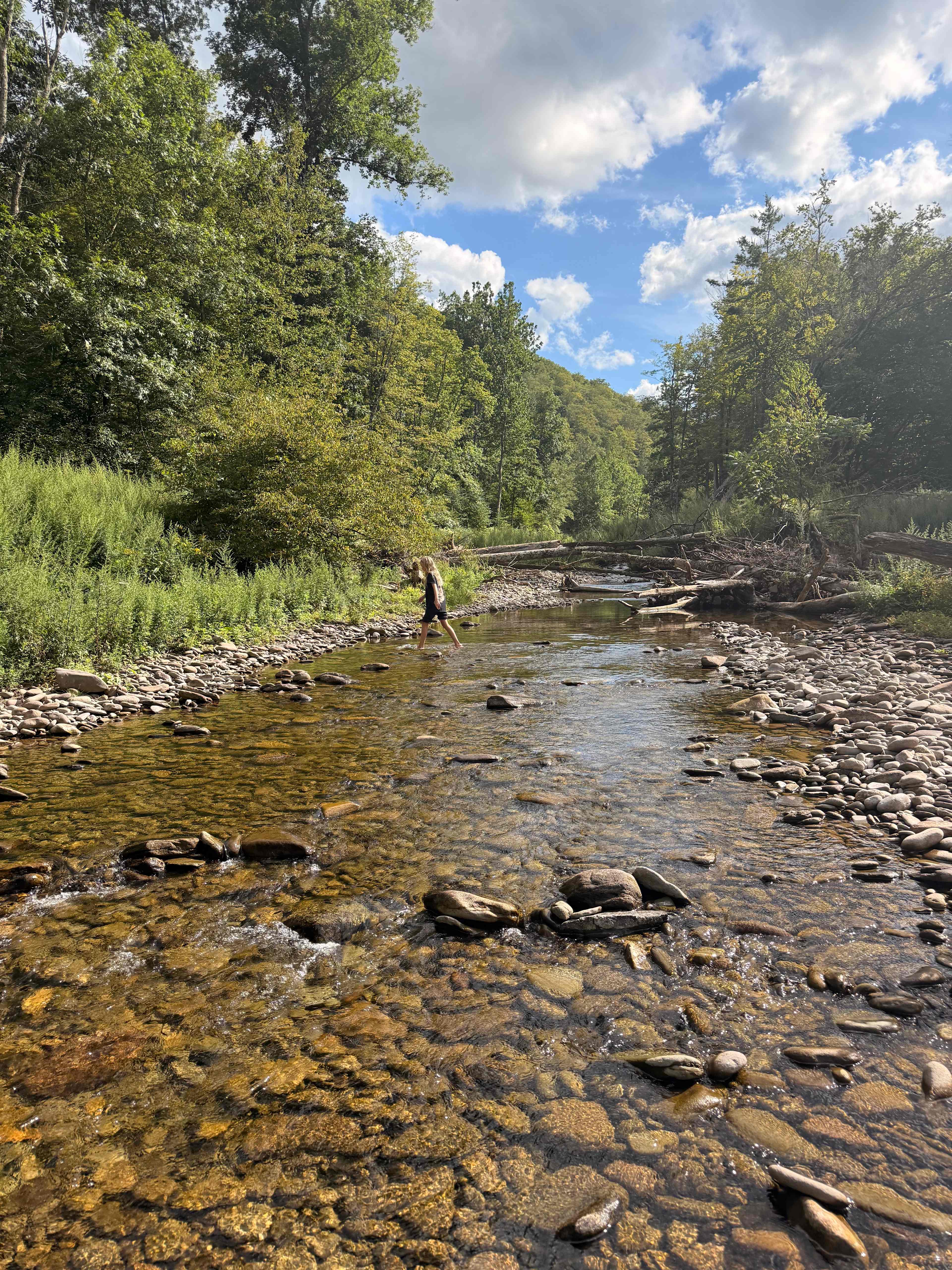 Big Indian Wilderness Paradise