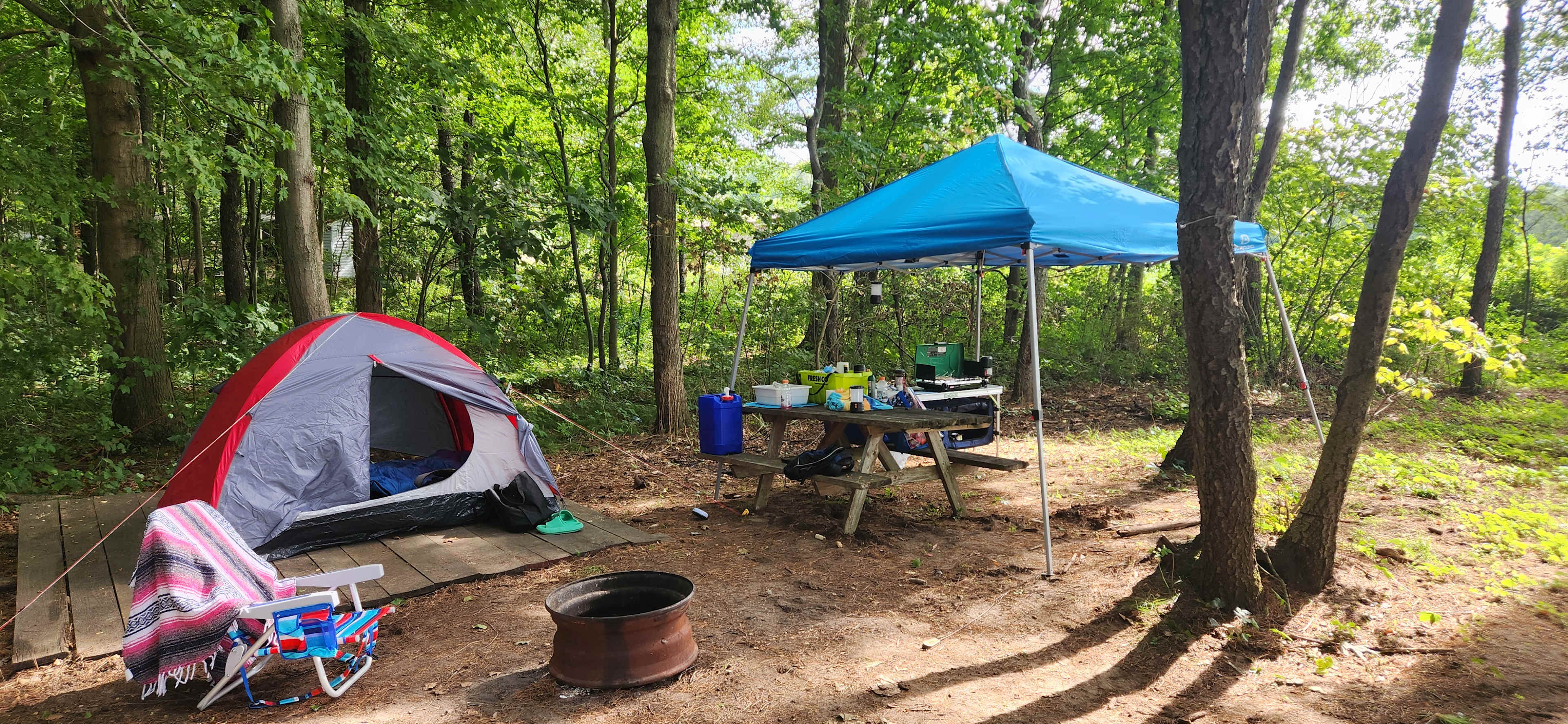 Spring Arbour Magic Forest &Trails!
