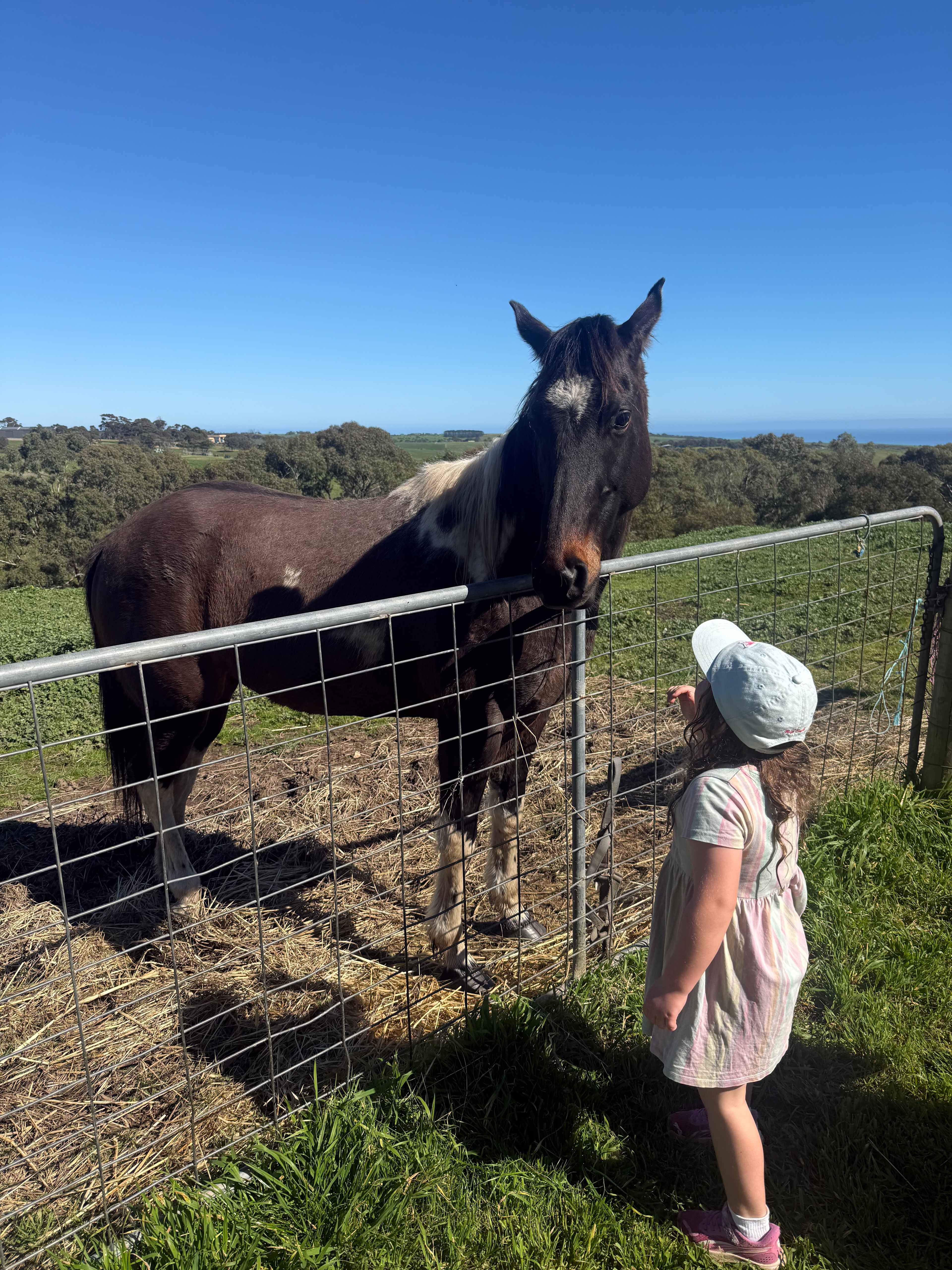 Koala Coast Retreat Farm