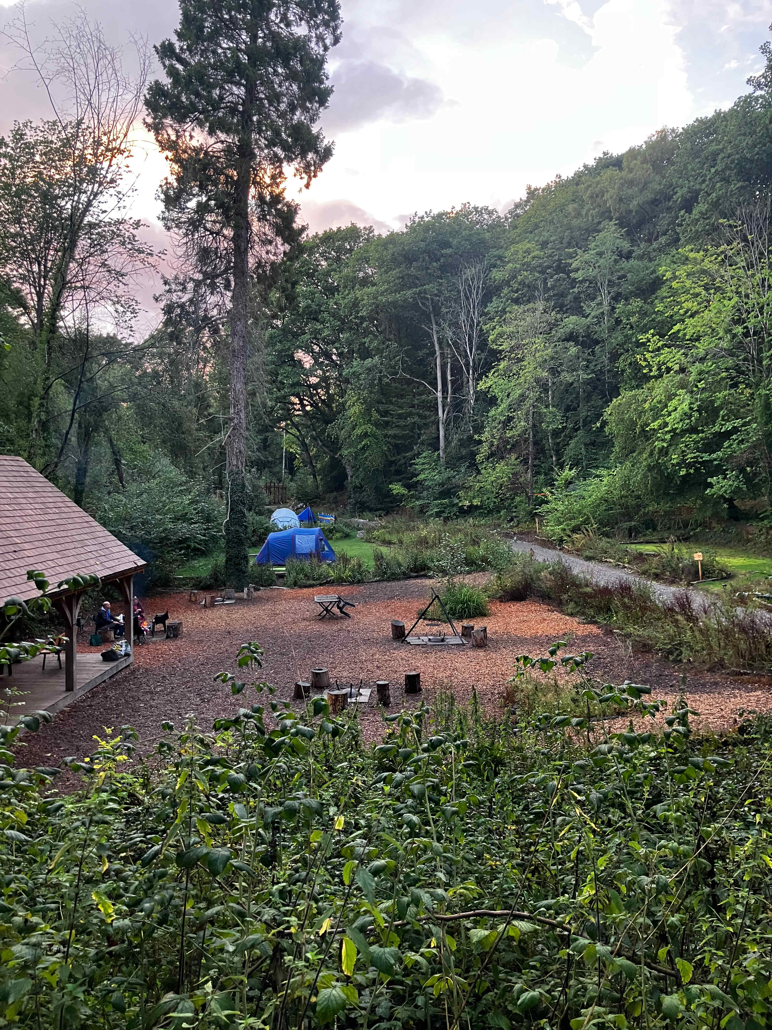 Picture of the site
