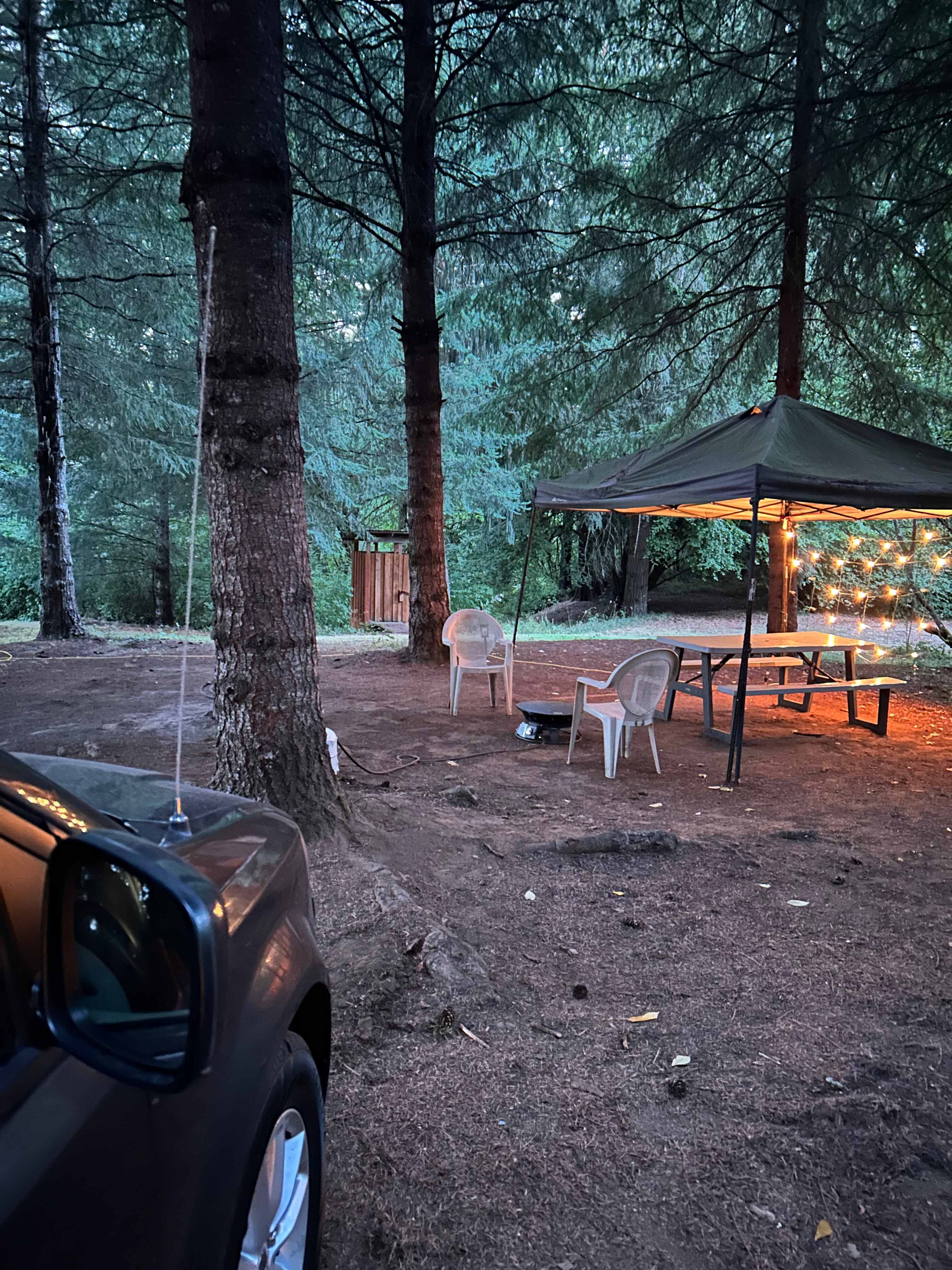 Spacious, Wooded Campsite, Hookups