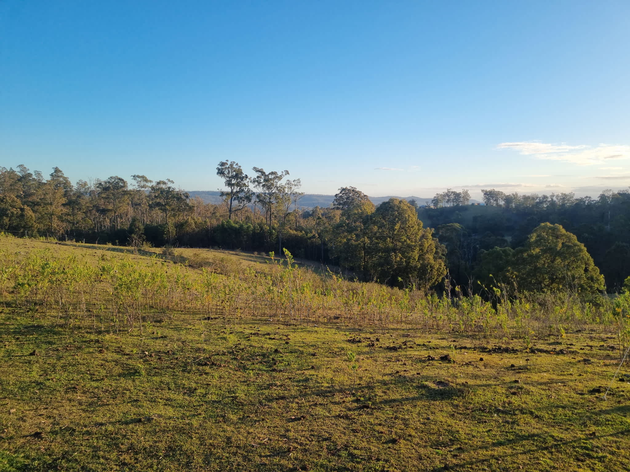 Foothills
