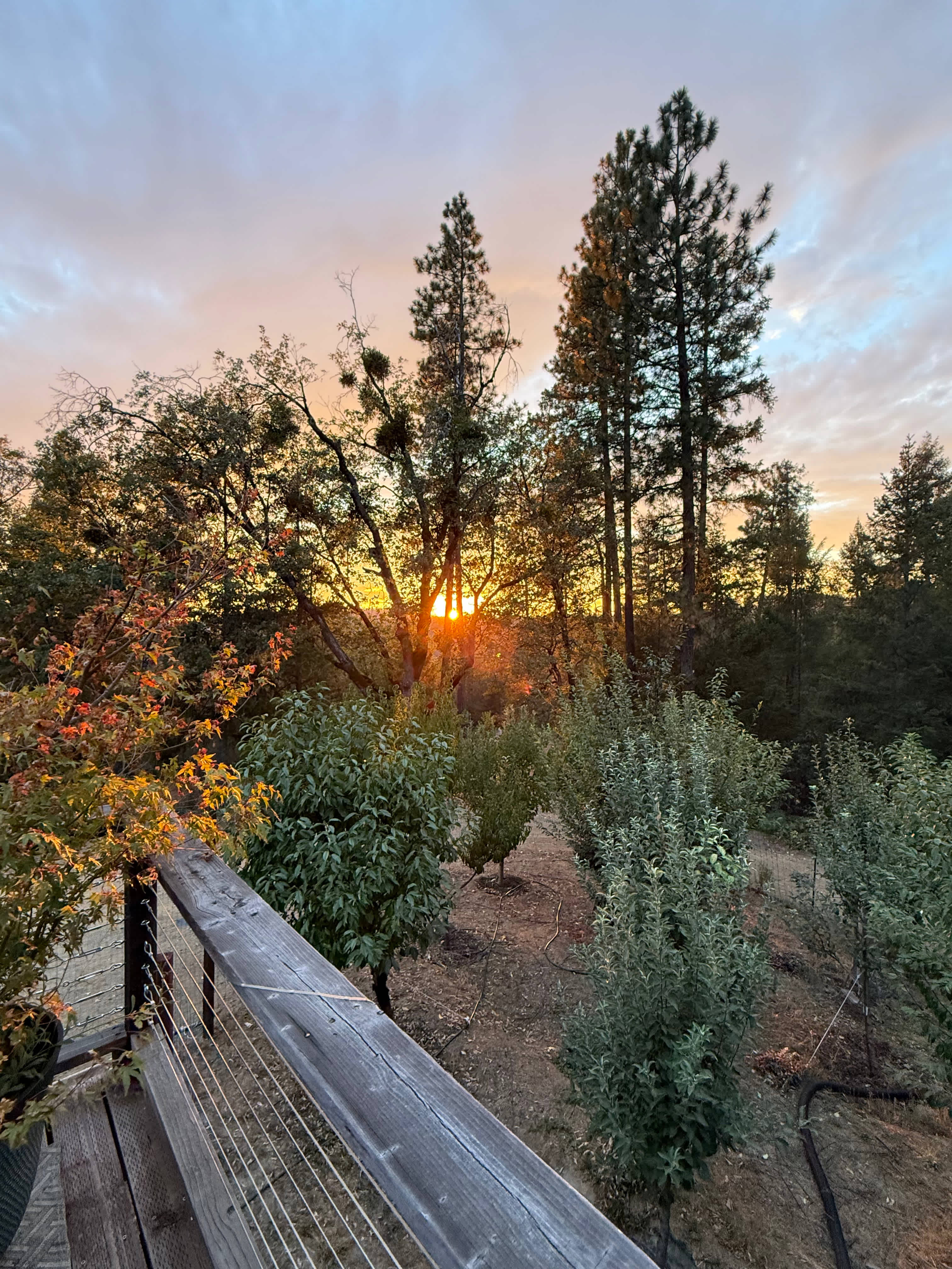 Rollins Lake Retreats & Adventures