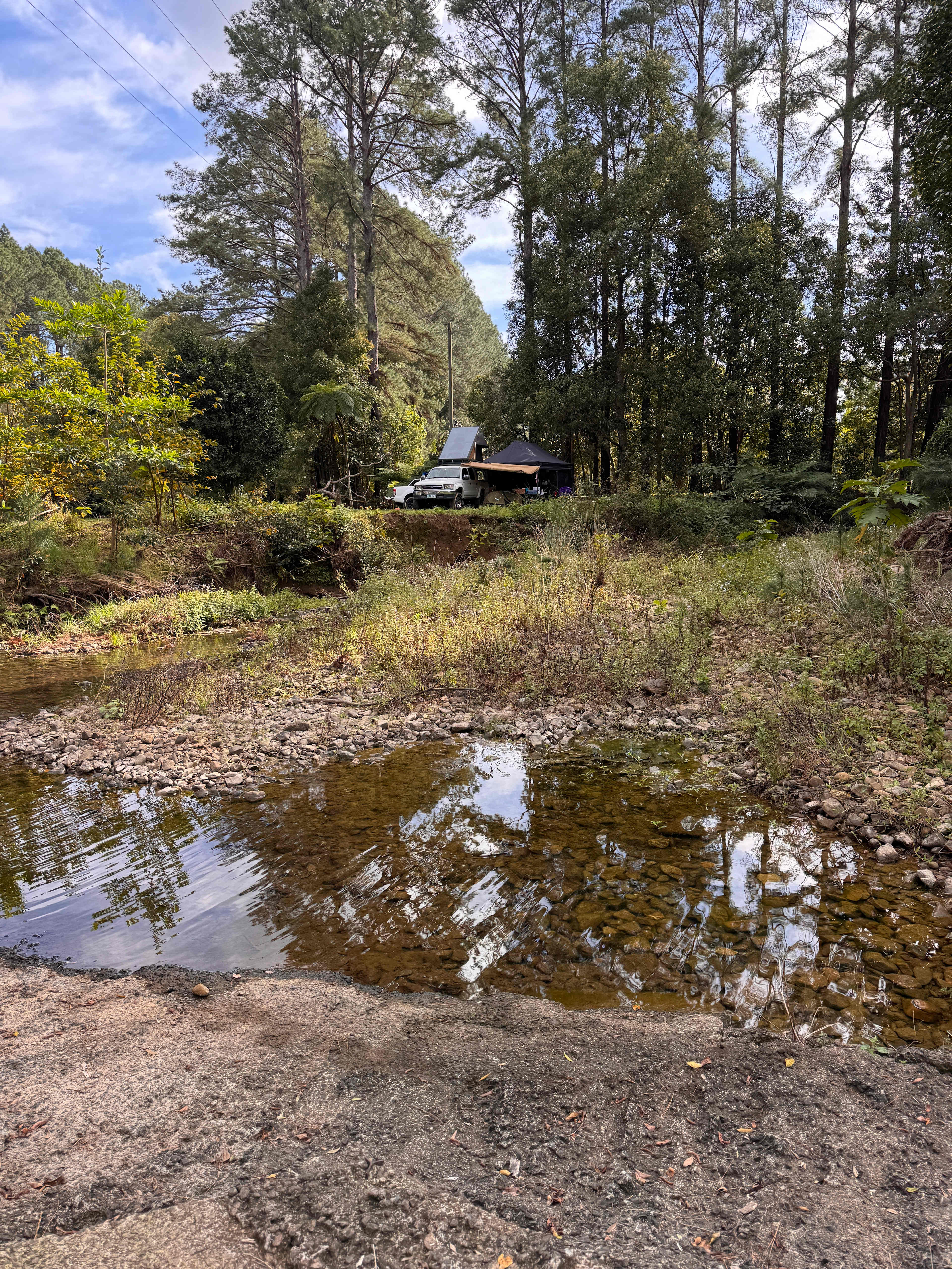 Looking back over the creek to the spot