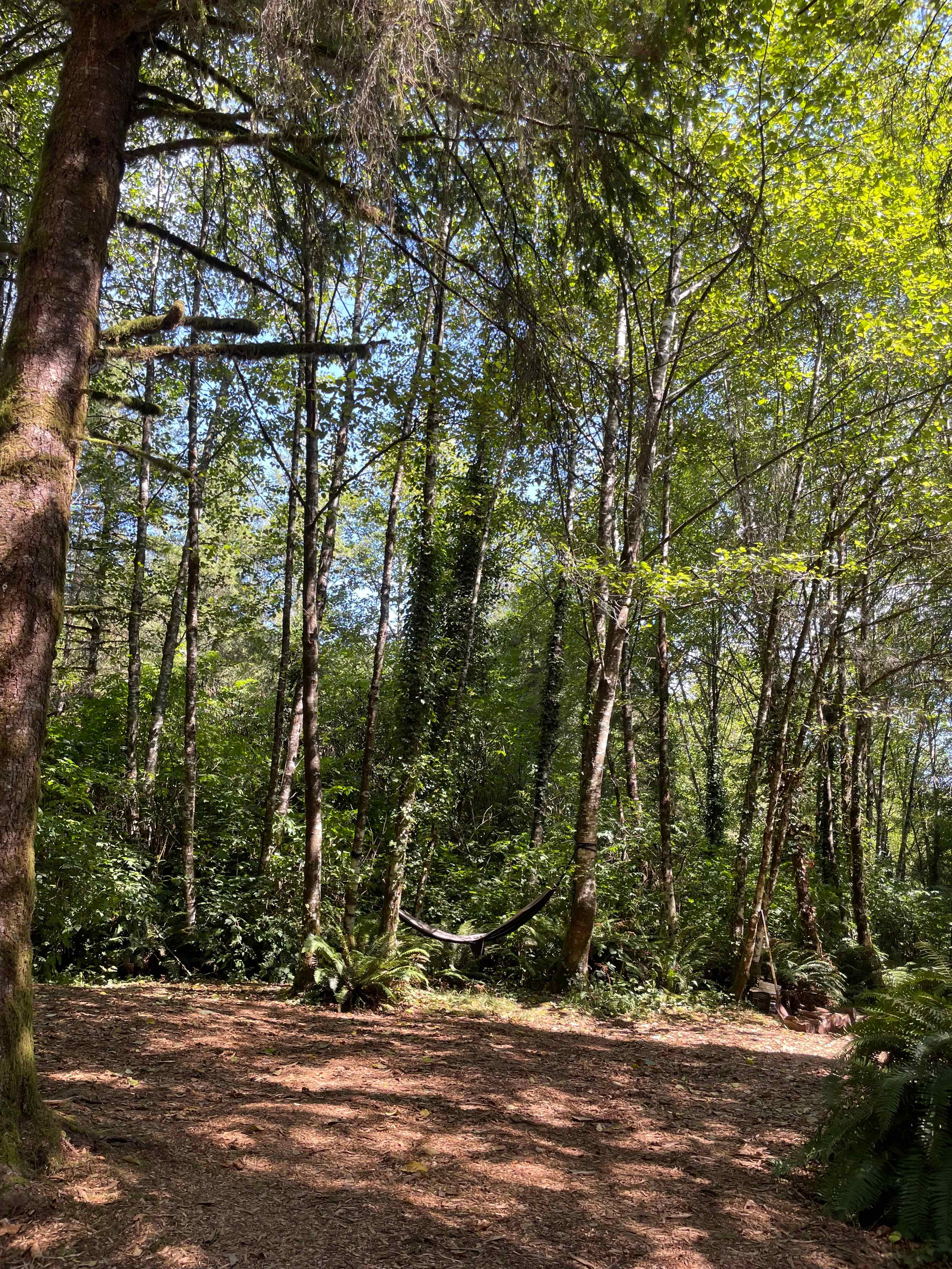 Site #7