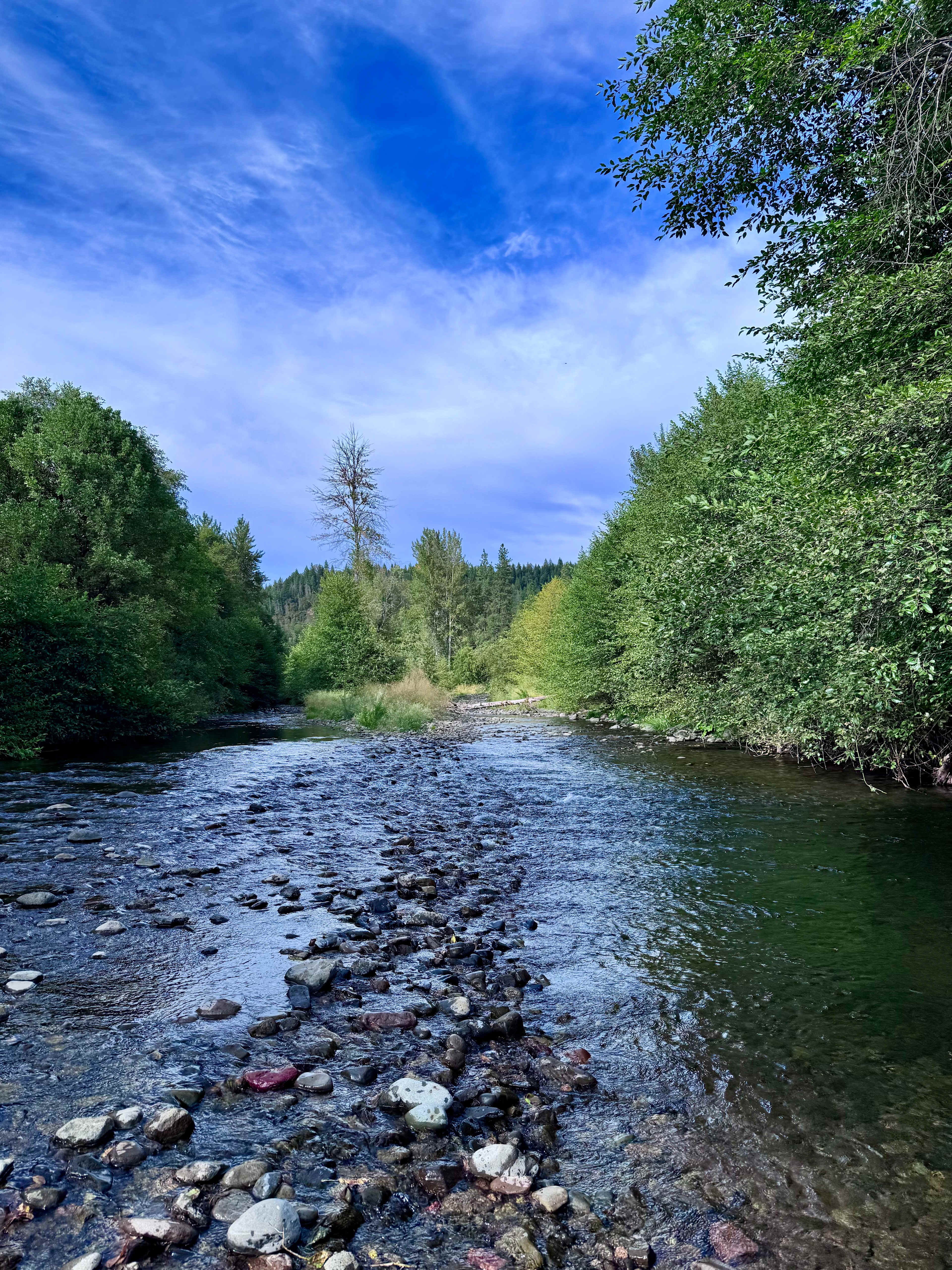 Kosk Creek Campgrounds