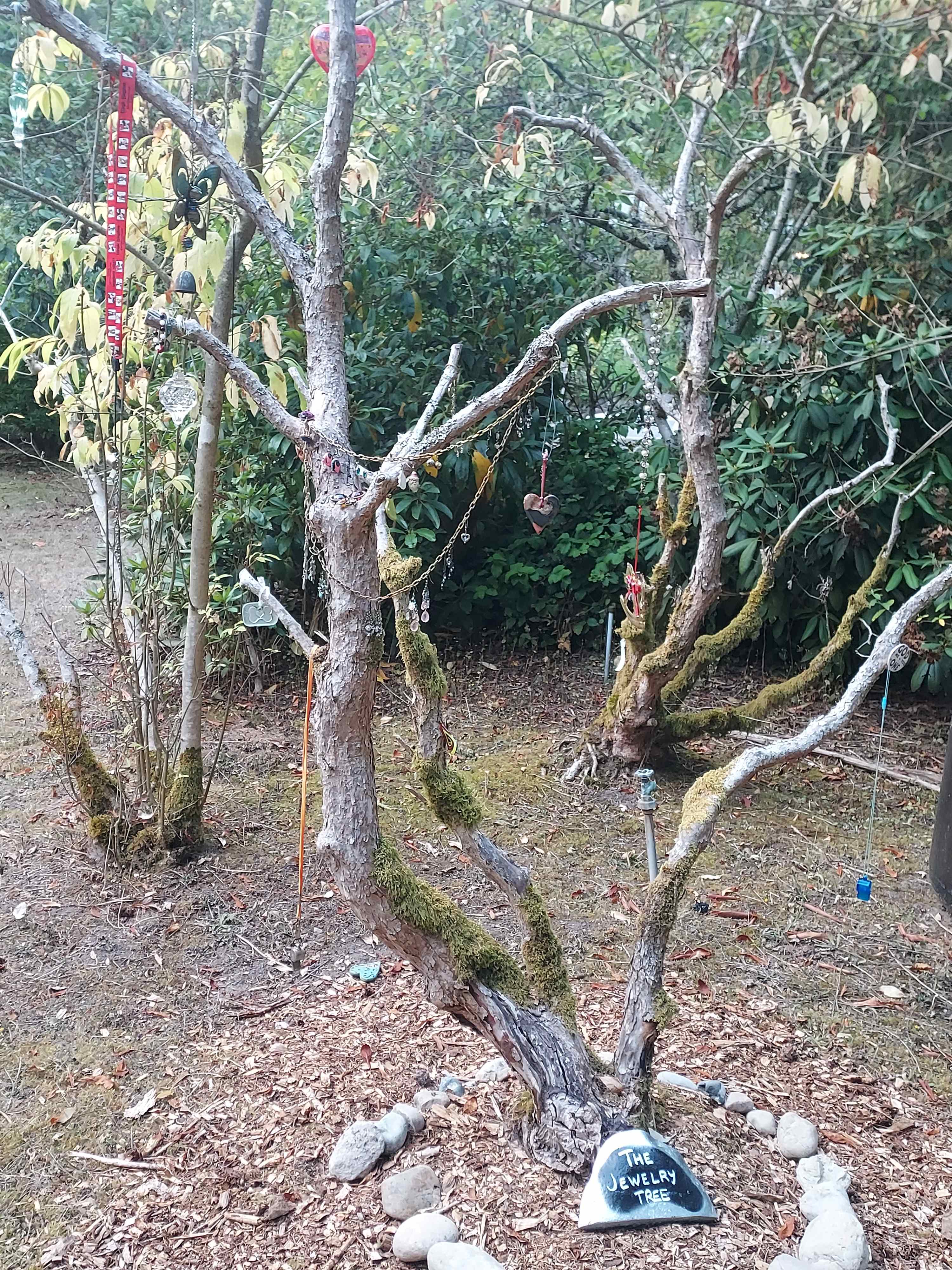 7 Acres of Heaven, Port Angeles, WA