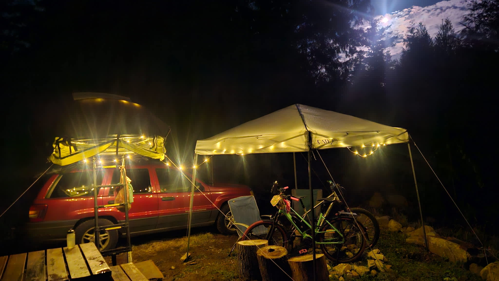 Night time in Foxglove 