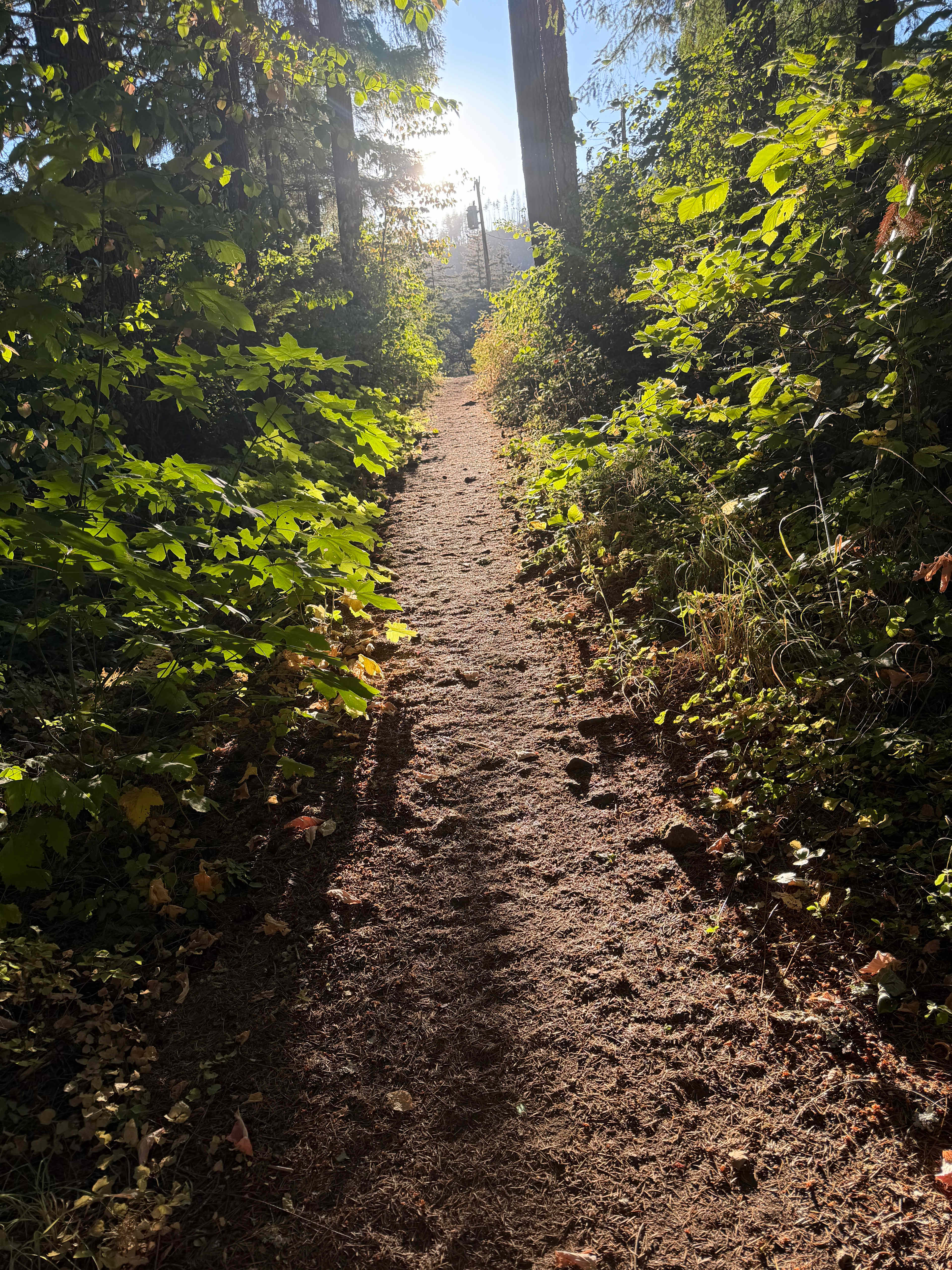 Path to dry creek. 