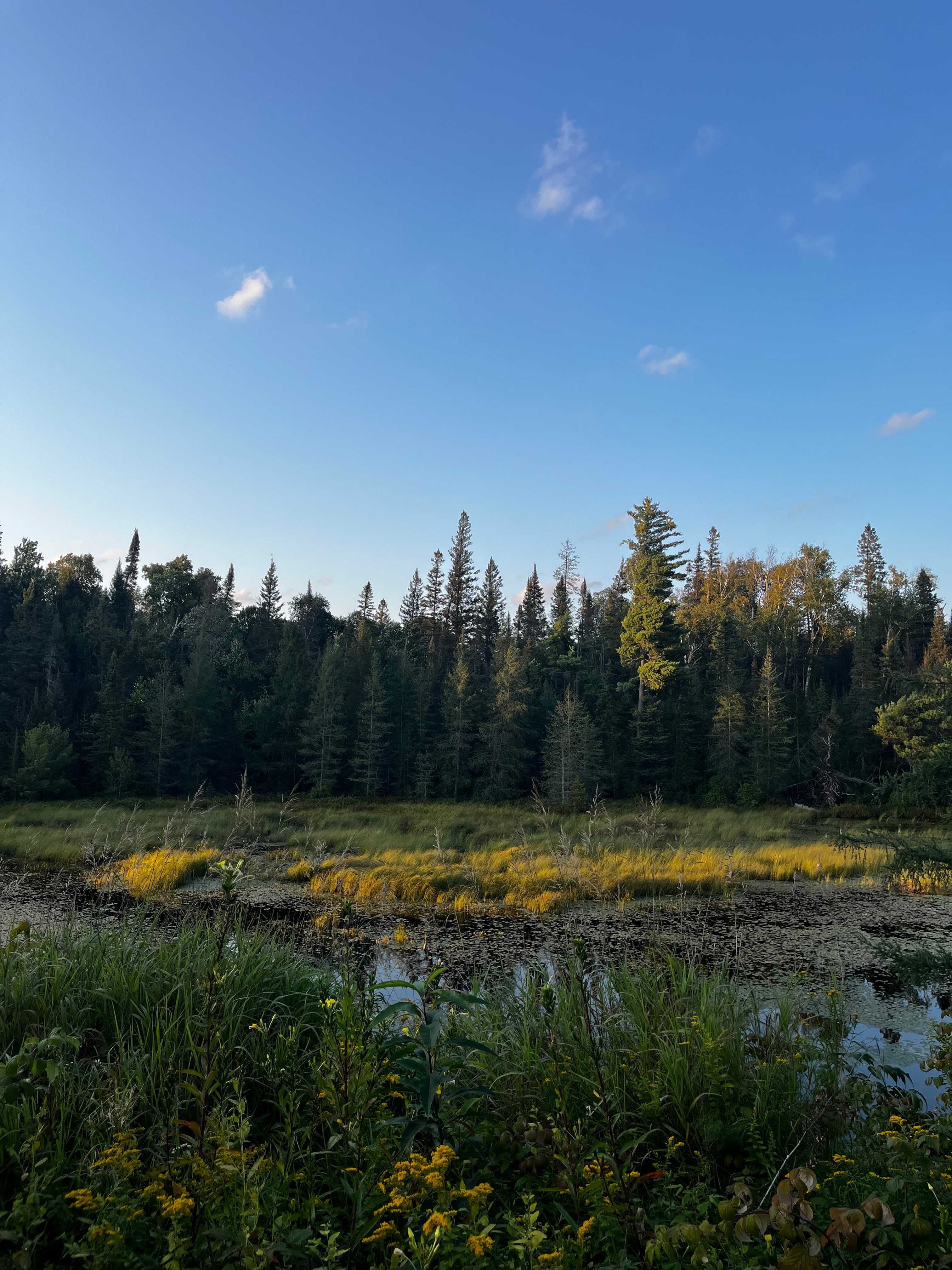 CREEKSIDE Camp