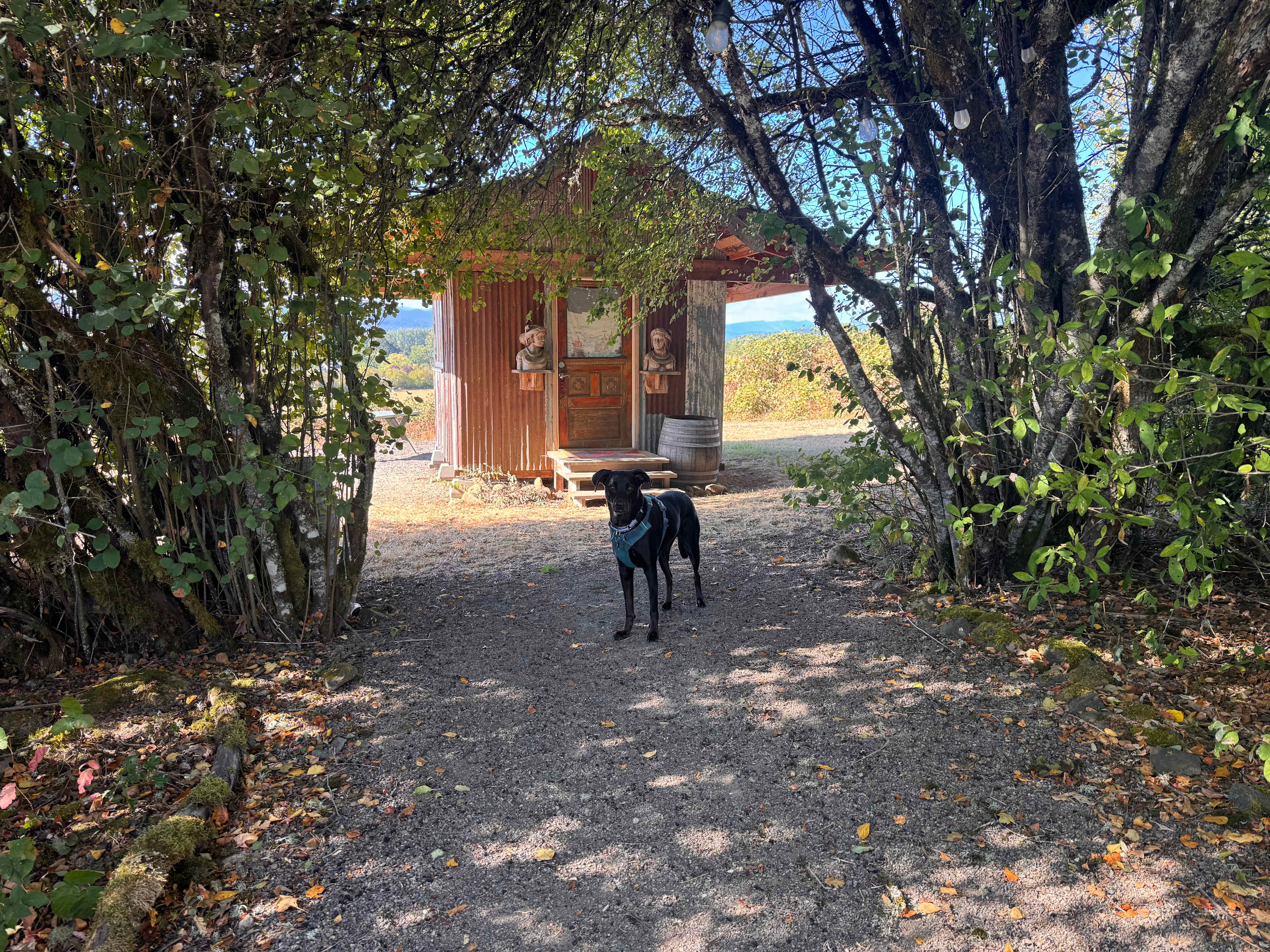 Roshambo ArtFarm