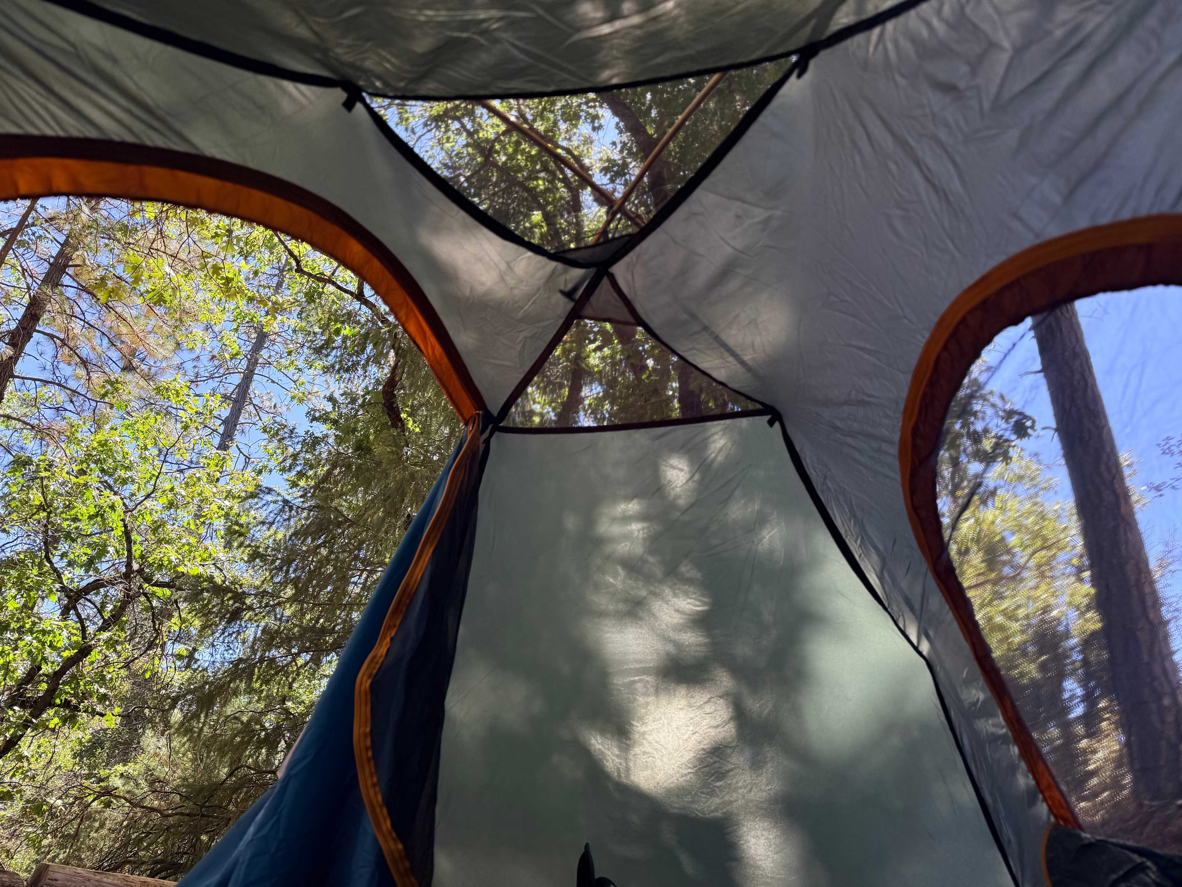 Manzanita Mountain