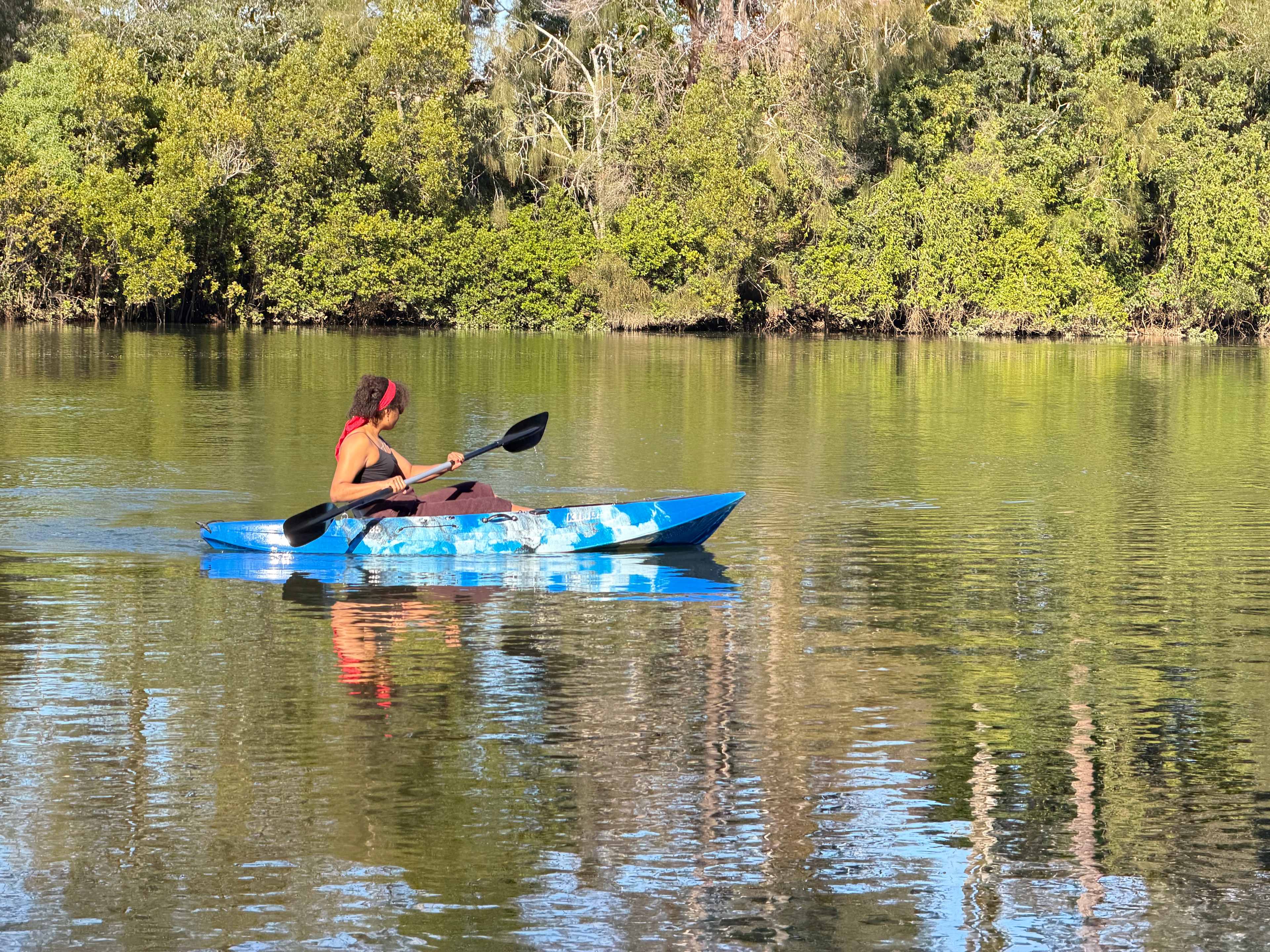 Riverlea Green,  Nambucca Valley