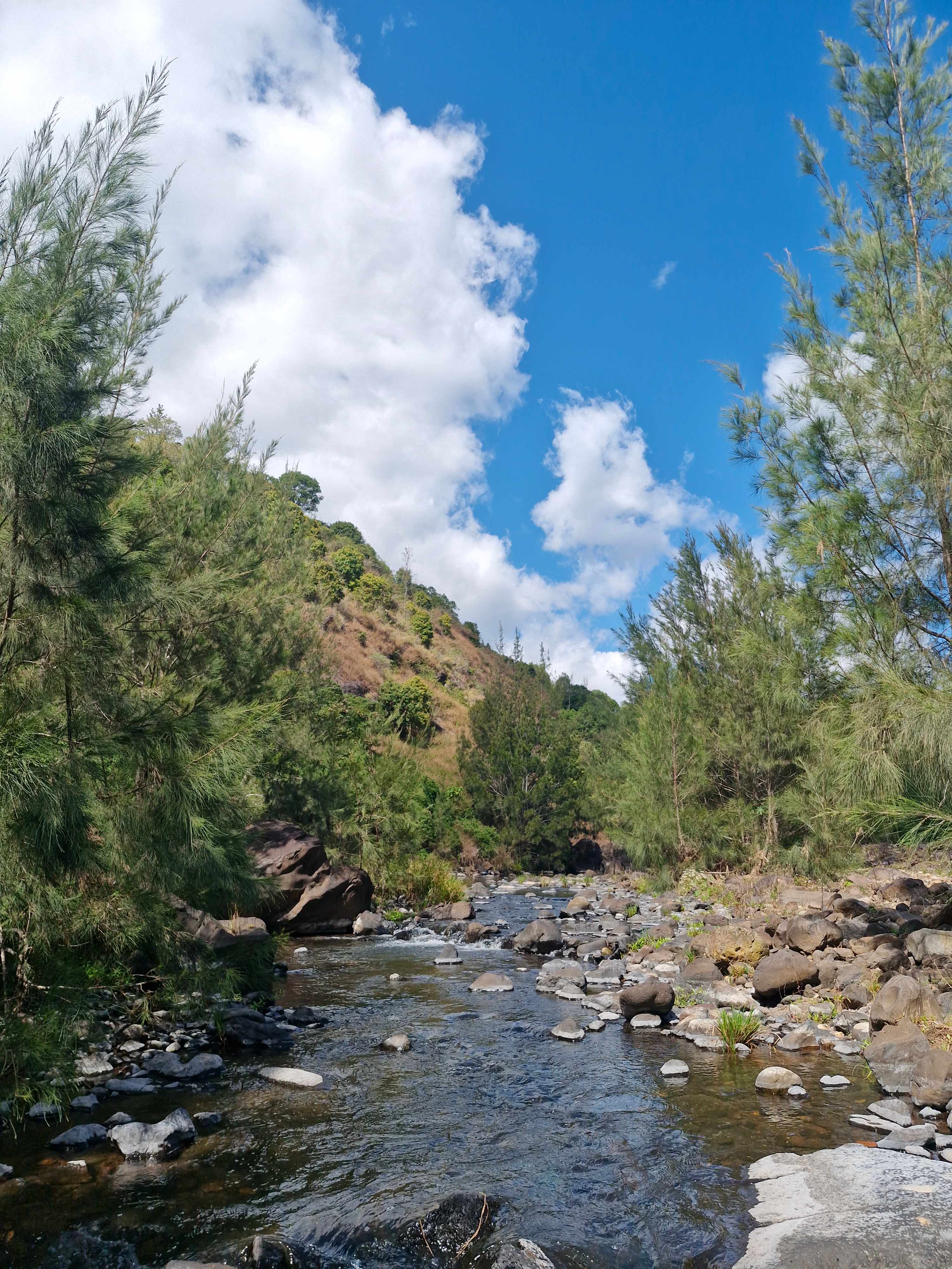 Illinbah Glamping off grid .