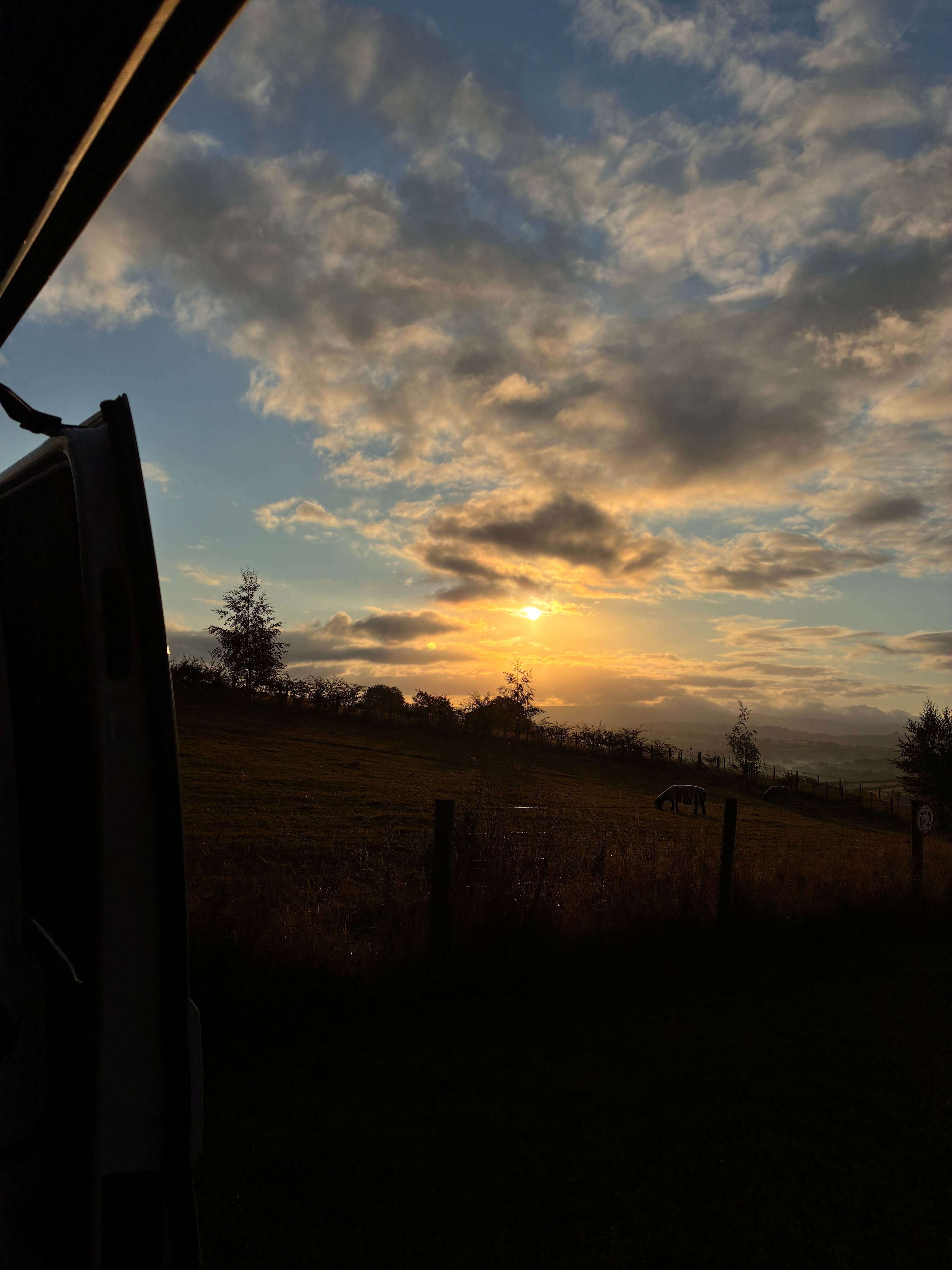 Sunrise and sheep neighbours