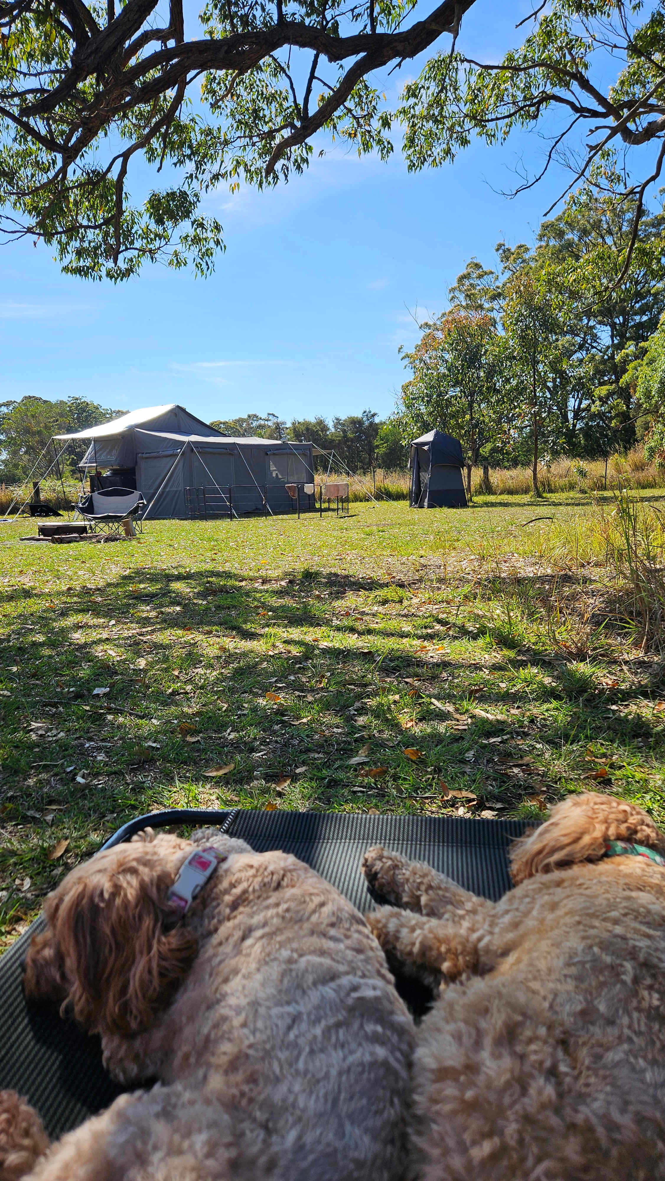Diamond Park Campsite