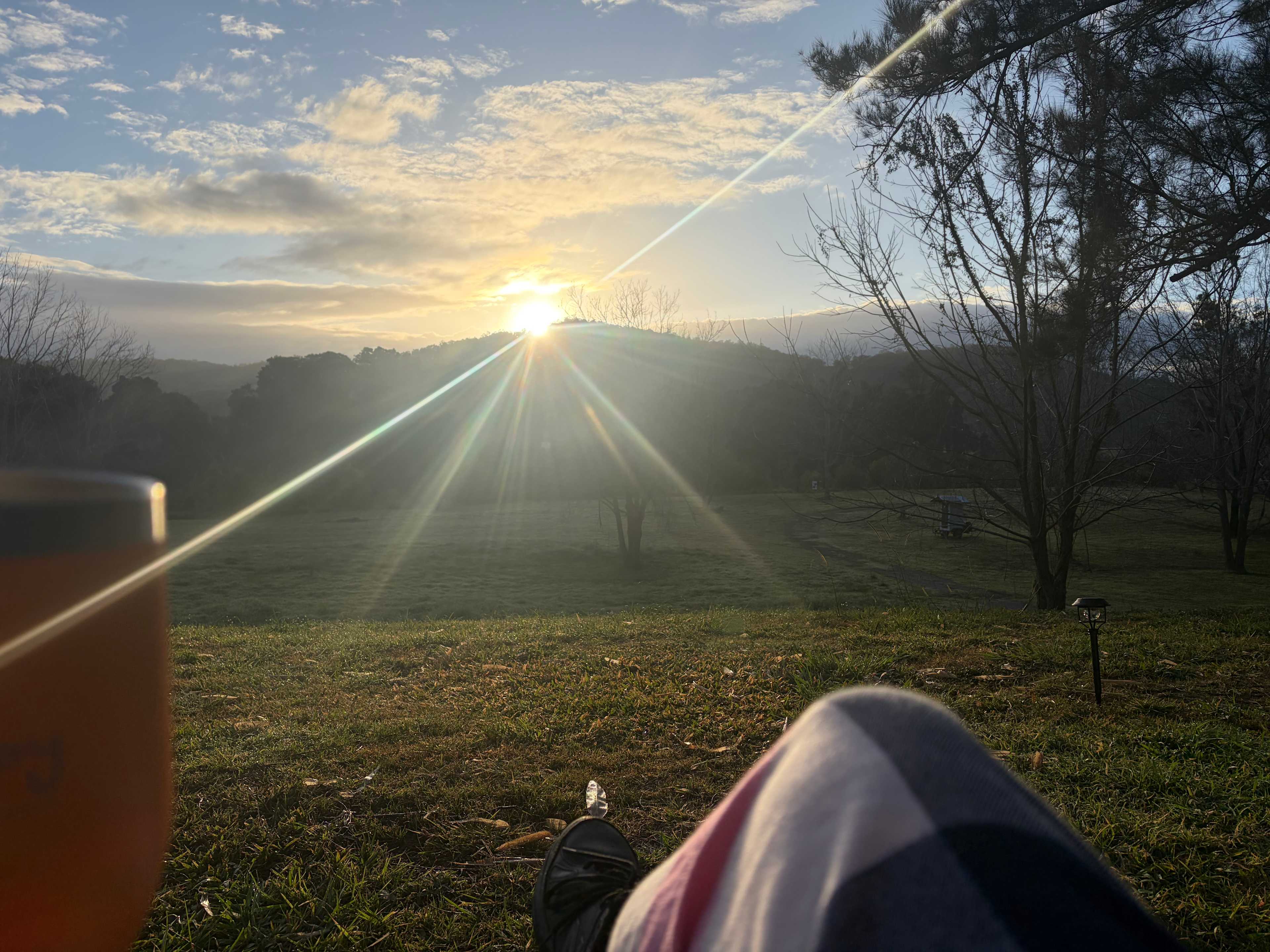 Morning cuppa view
