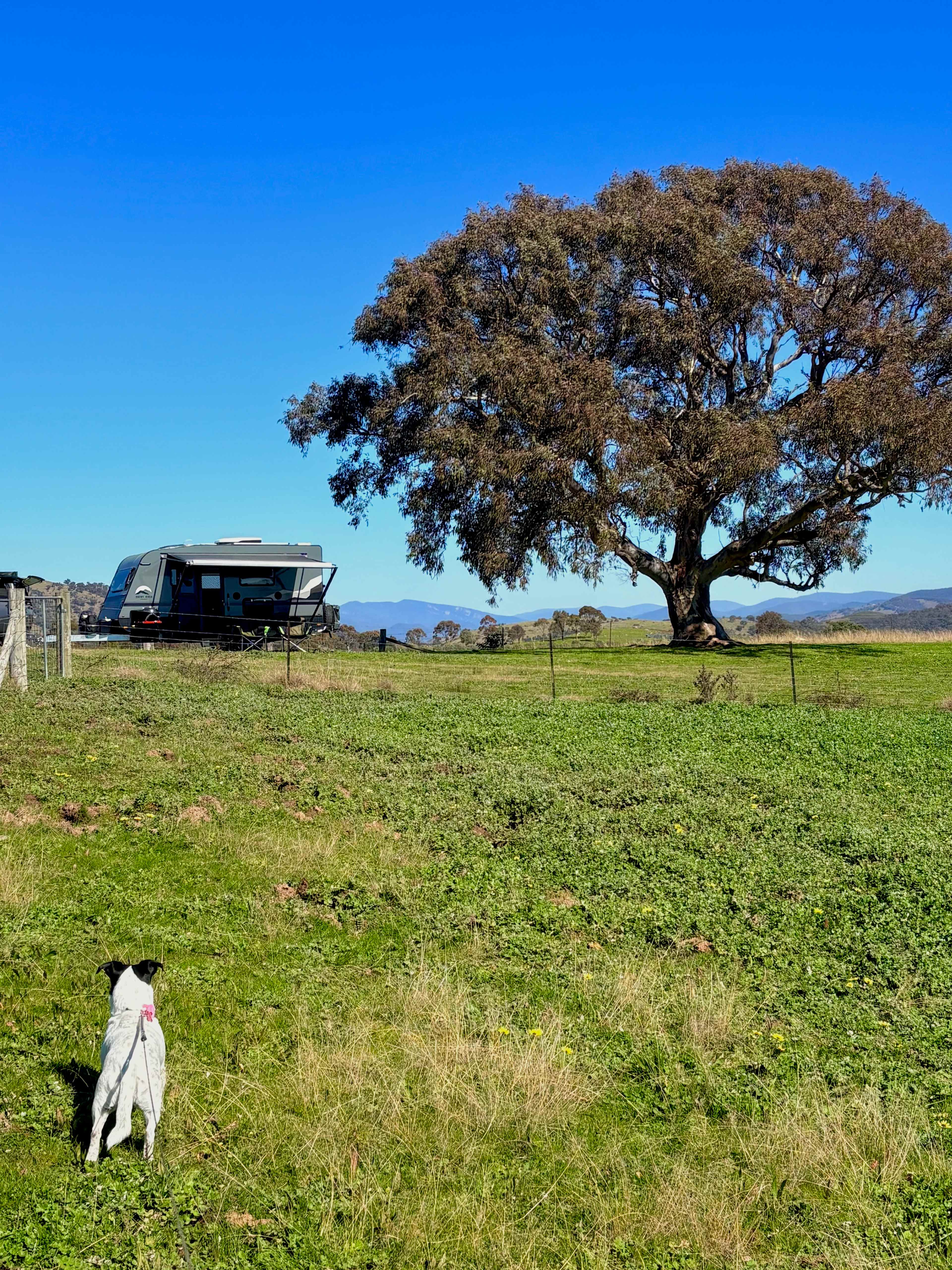 Burrendah Farm Camp