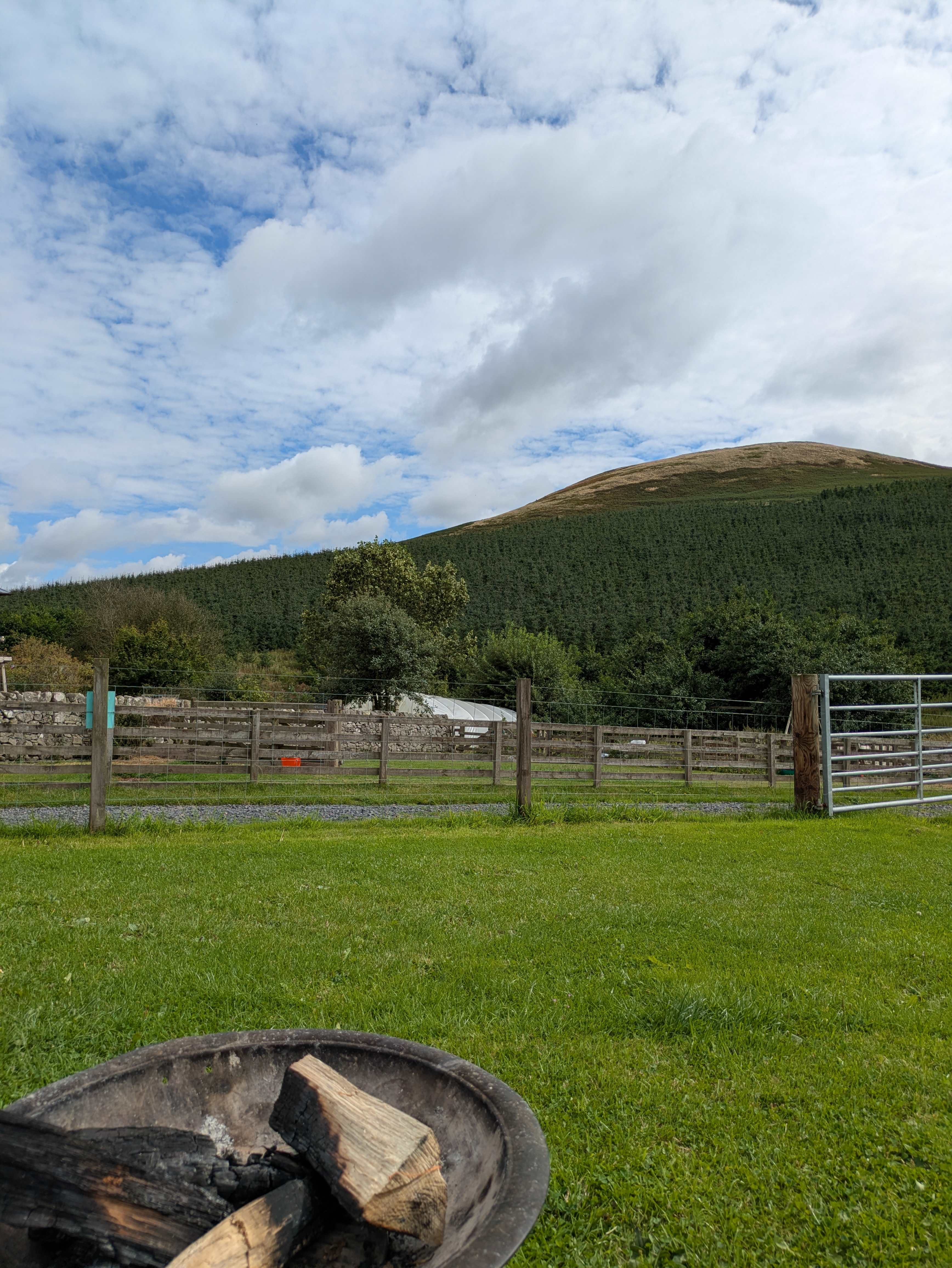 Beirhope Alpacas