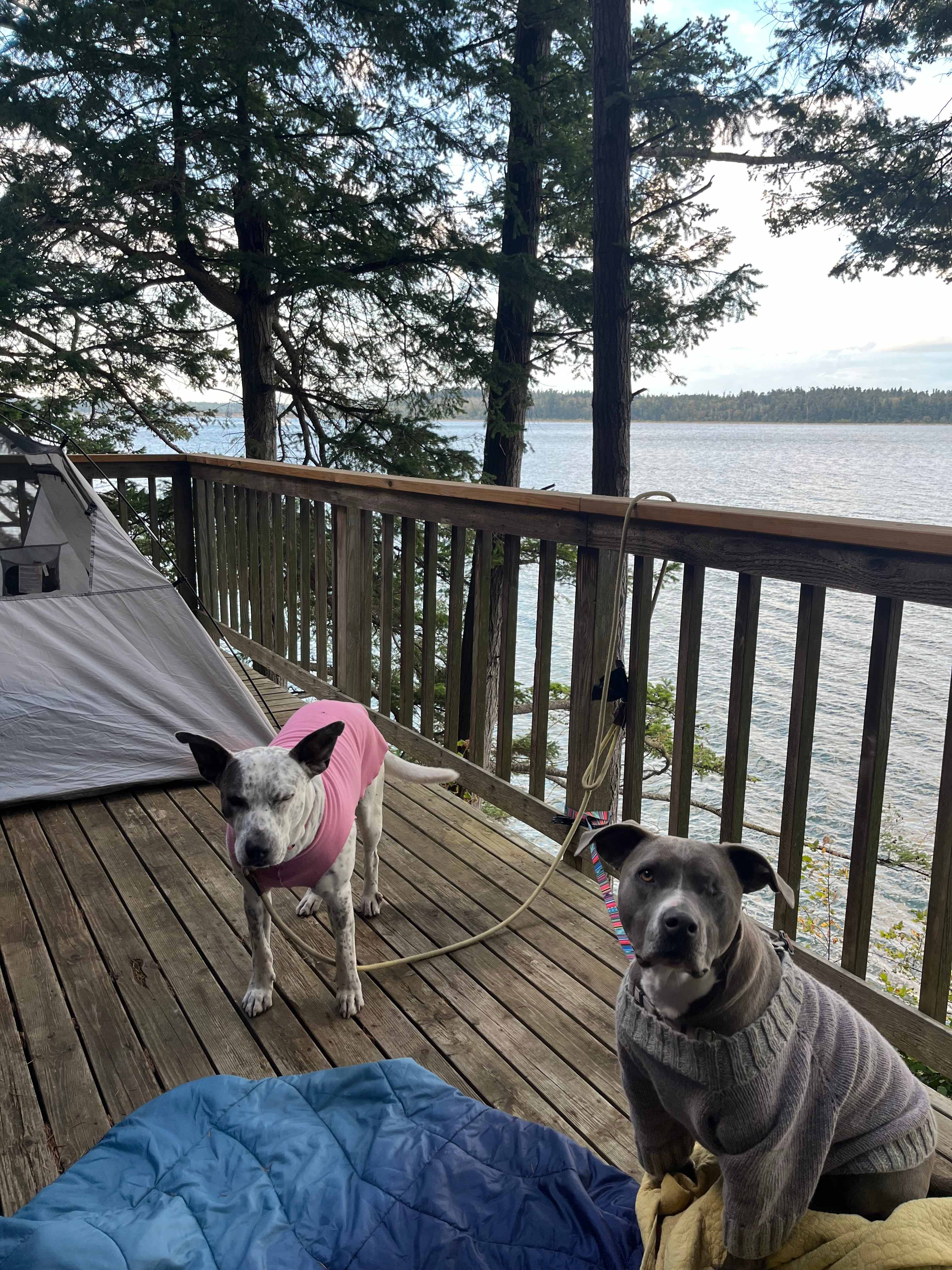 Sunrise Gazebo