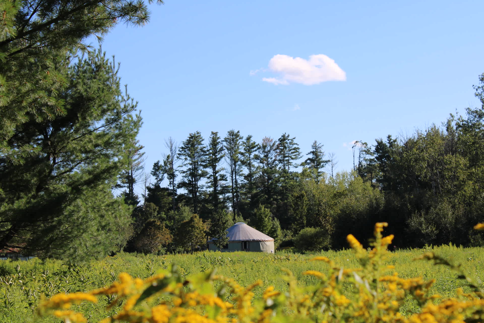 Wyomanock Farm