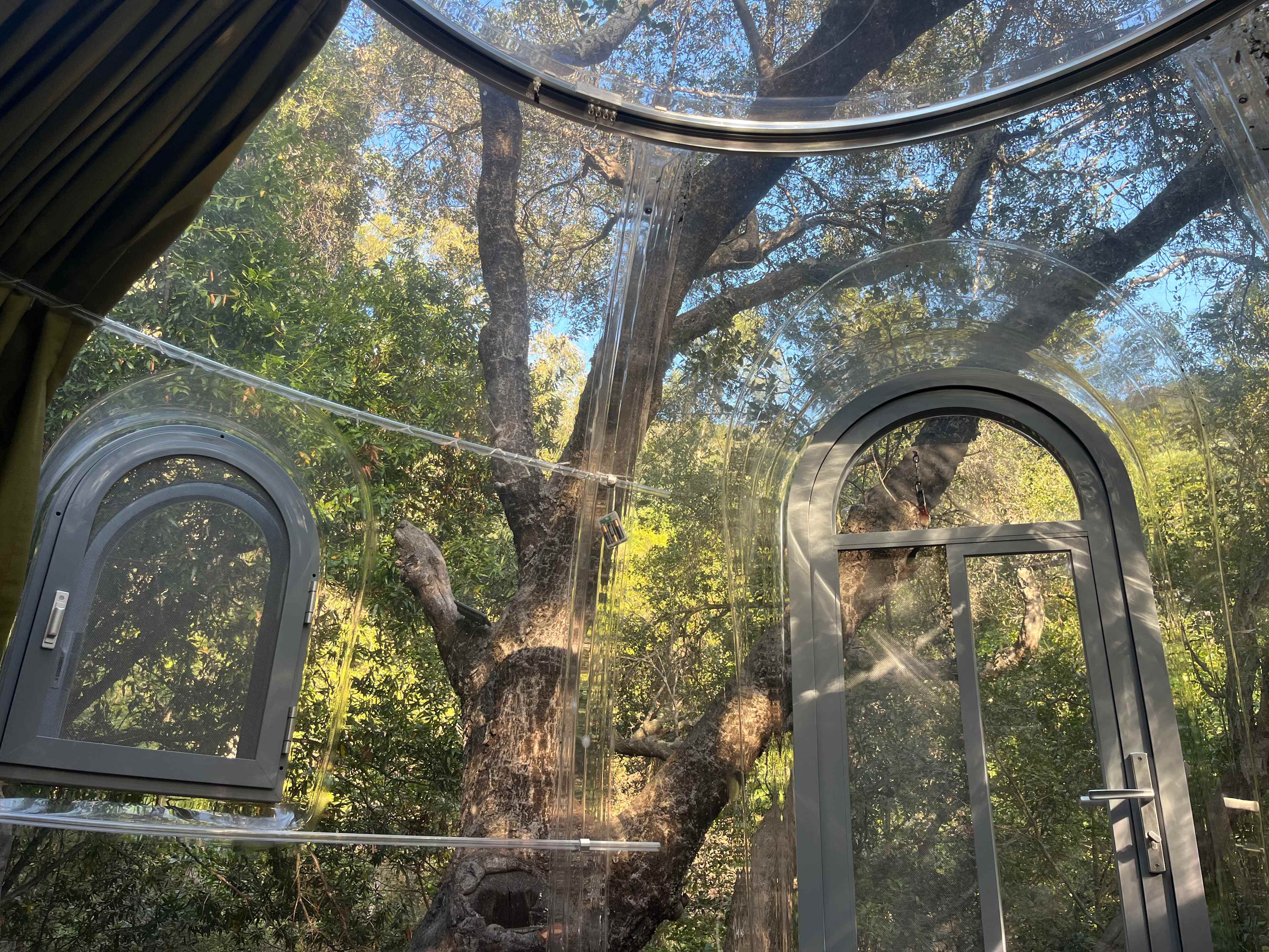 Harmony's Glamping