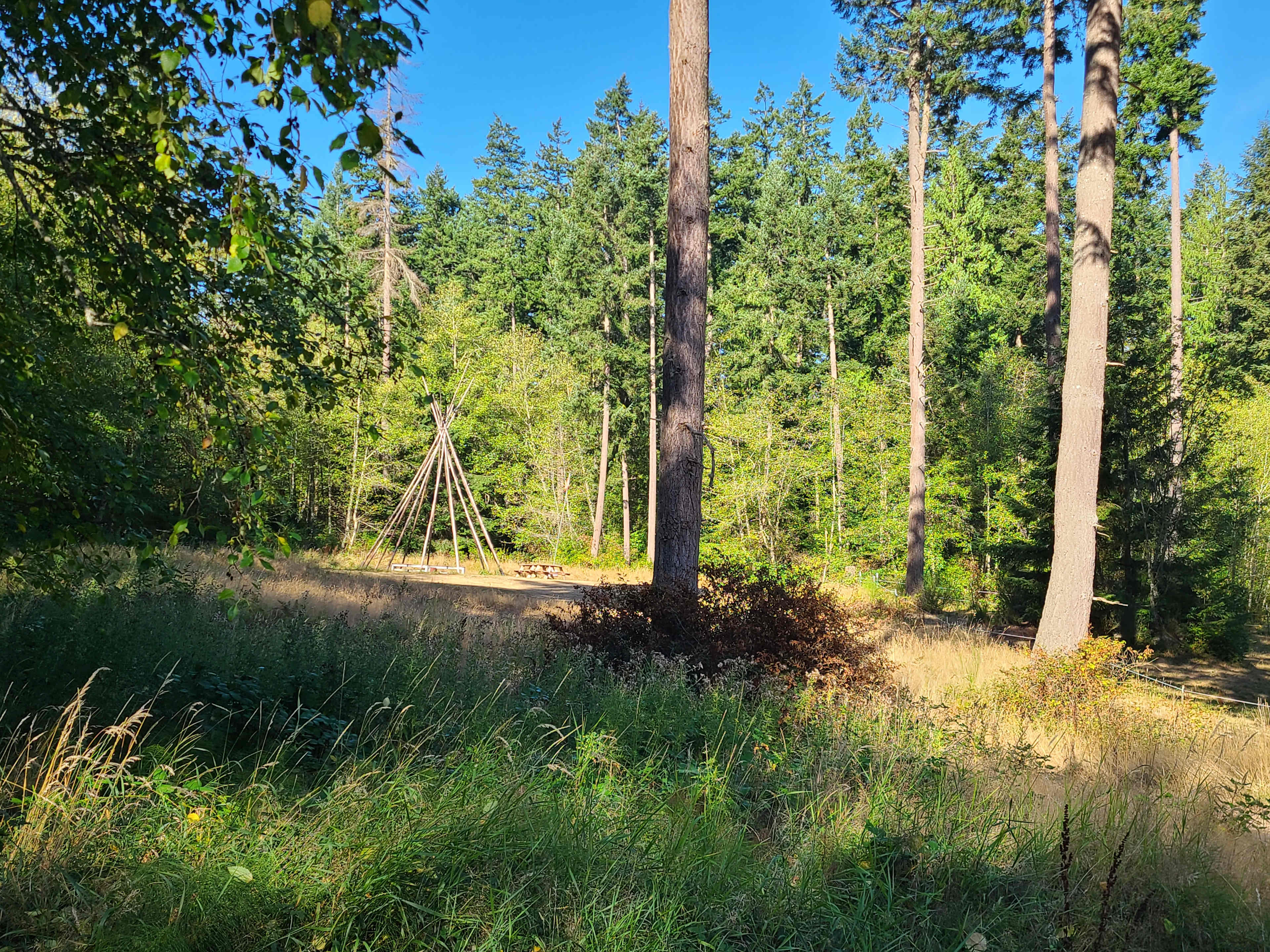 Group site