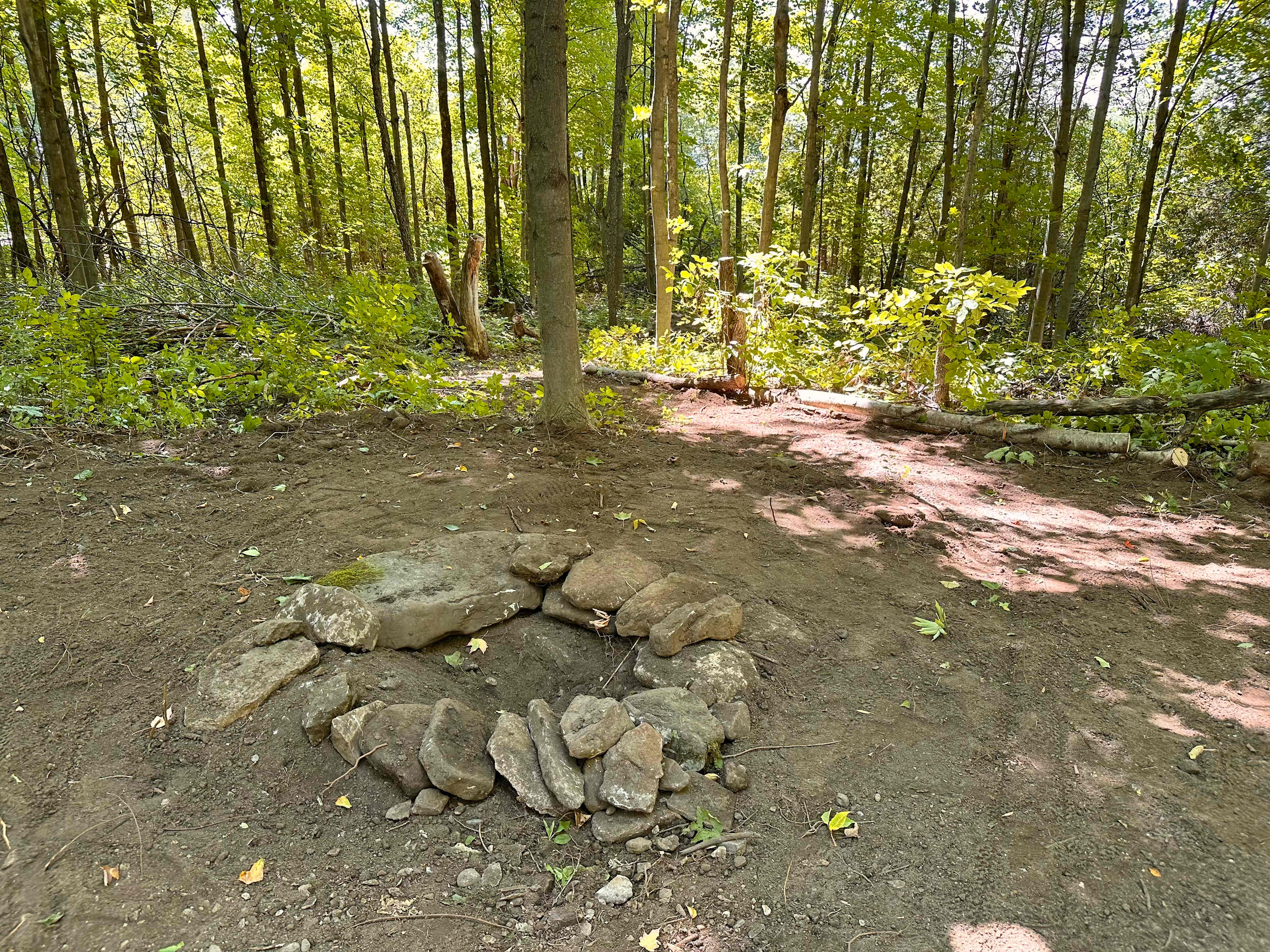 Picture of the site