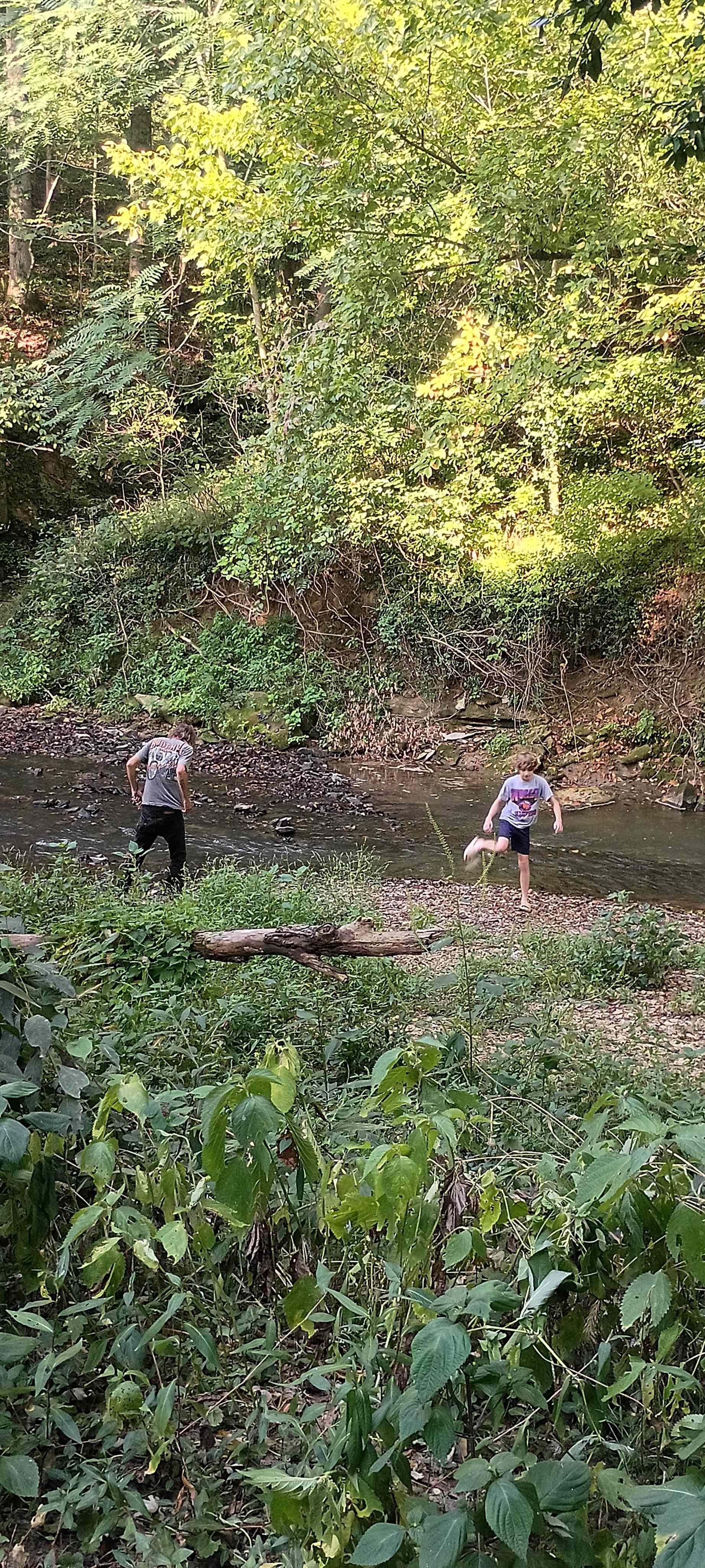 Twisted River