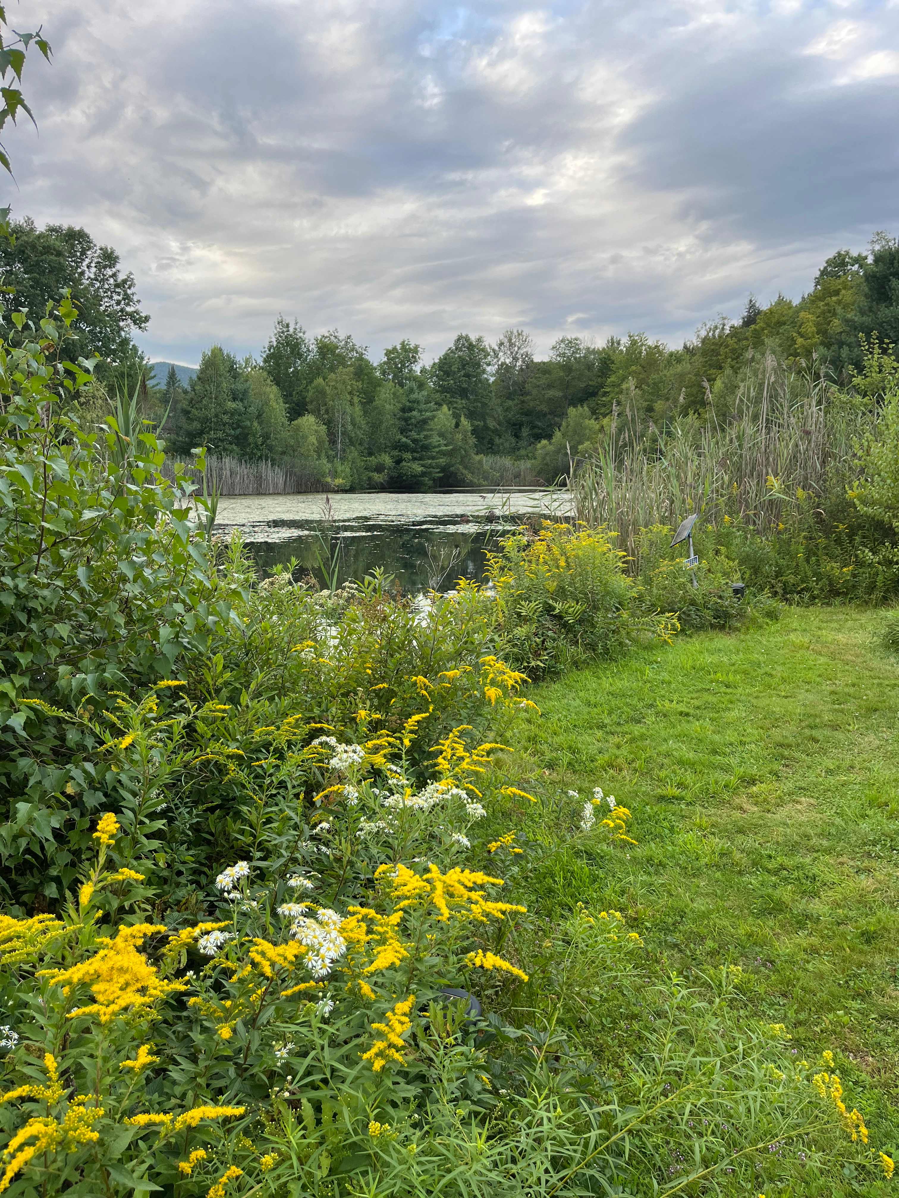 Gus's Gardens