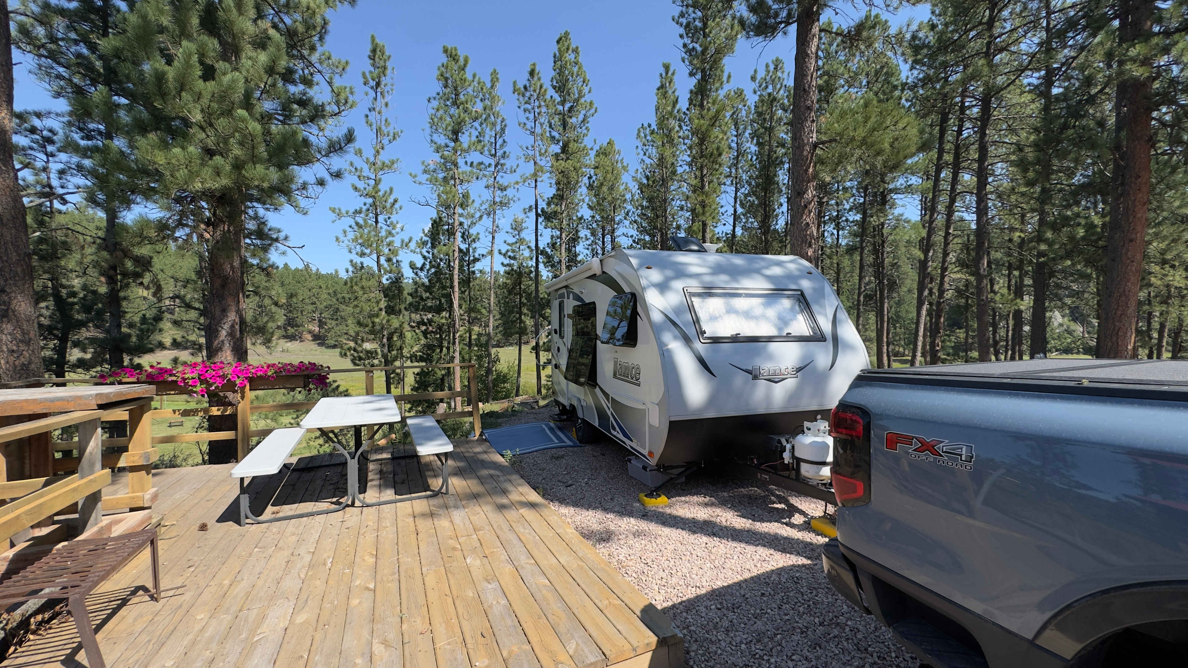 Trees surrounding our camp site.