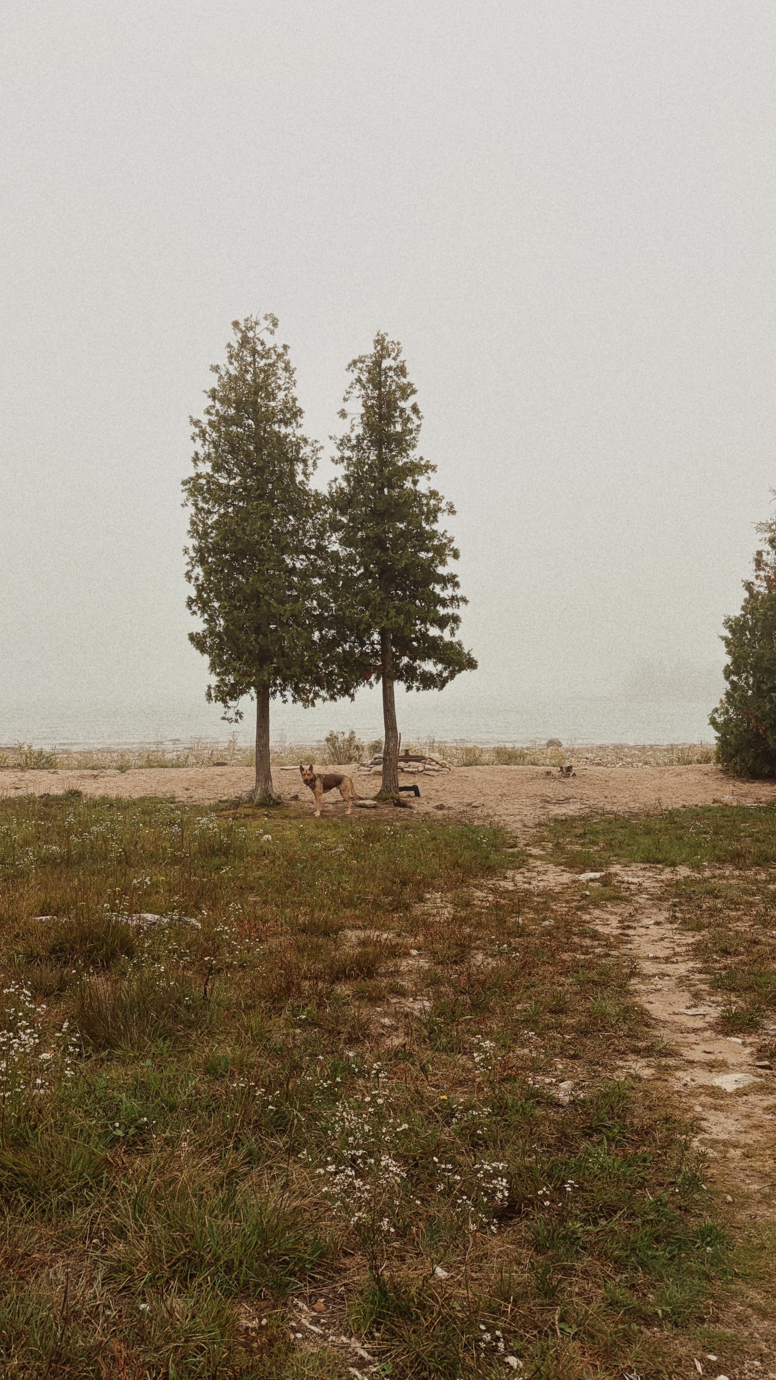 Lake Huron frontage Campsite