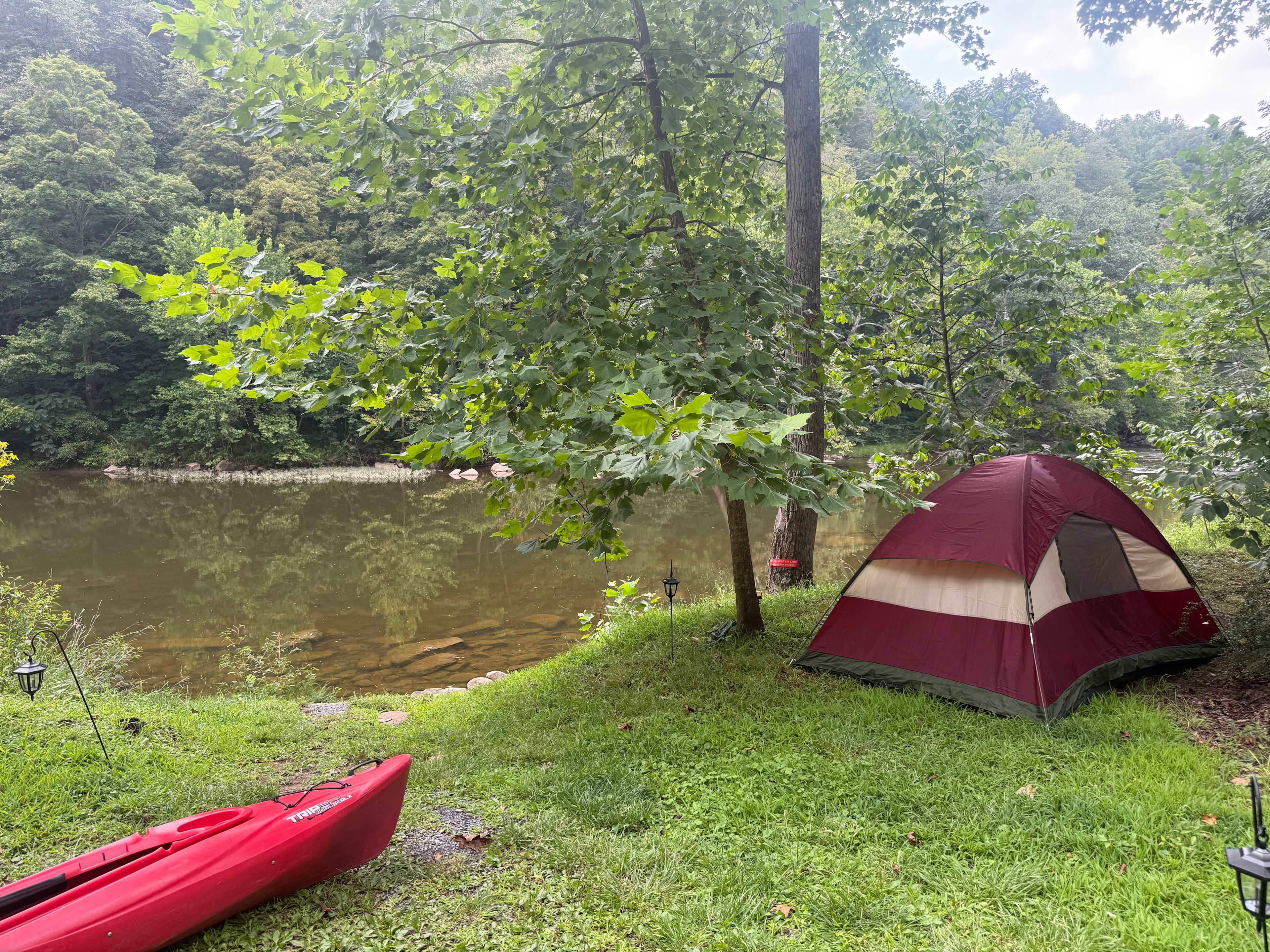 The Byrd's Nest on the River