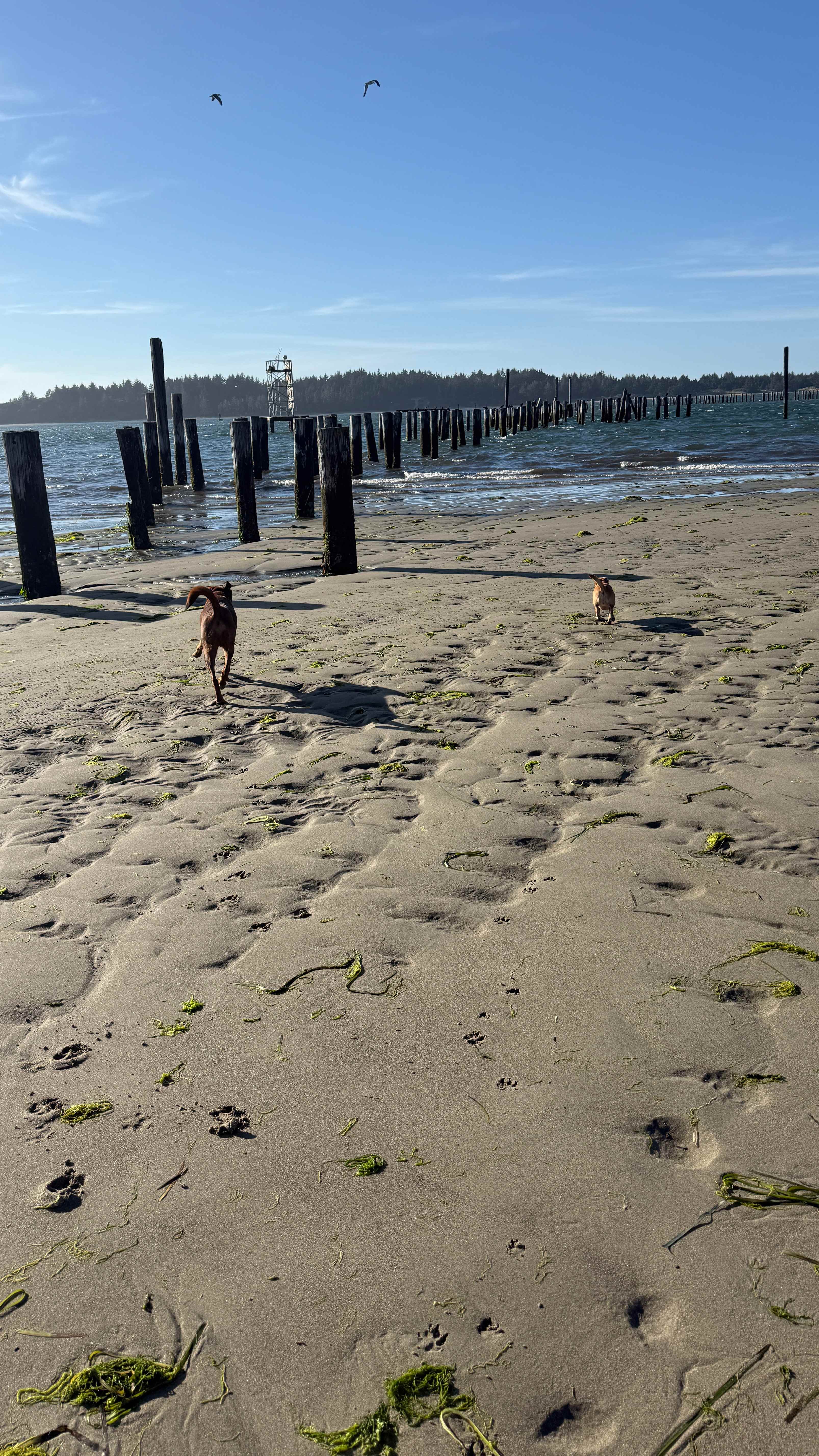 Bay Point Landing